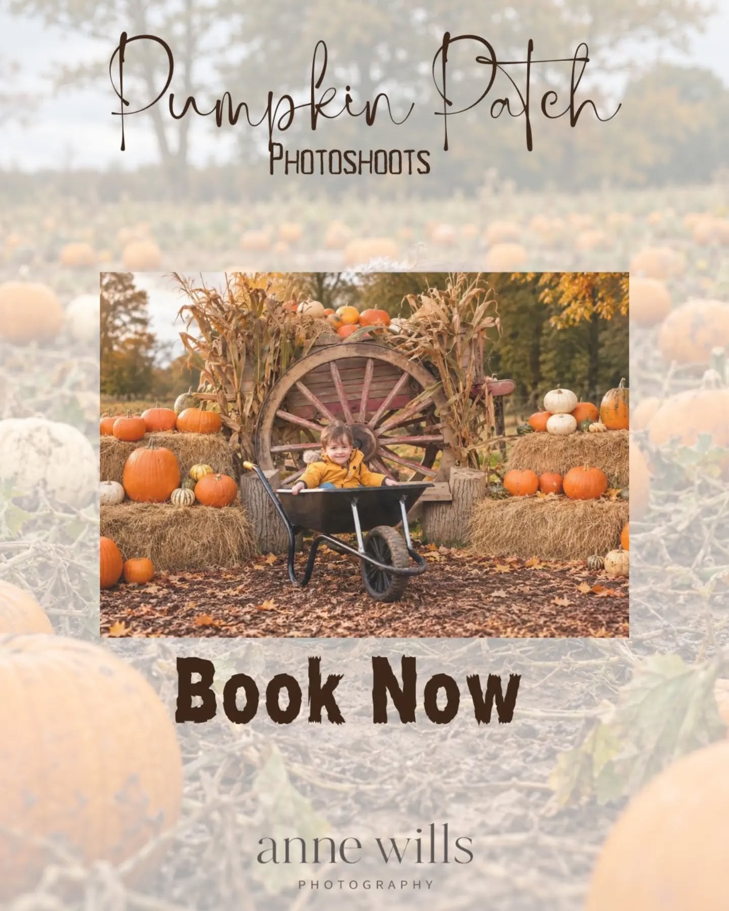🎃🍂 Pumpkin Patch Mini Sessions 🍂🎃

Autumn is here, and it&rsquo;s the perfect time to capture beautiful memories amongst the pumpkins!

Join me for a magical 40 minute pumpkin patch photography session set in a gorgeous autumnal location in Essex