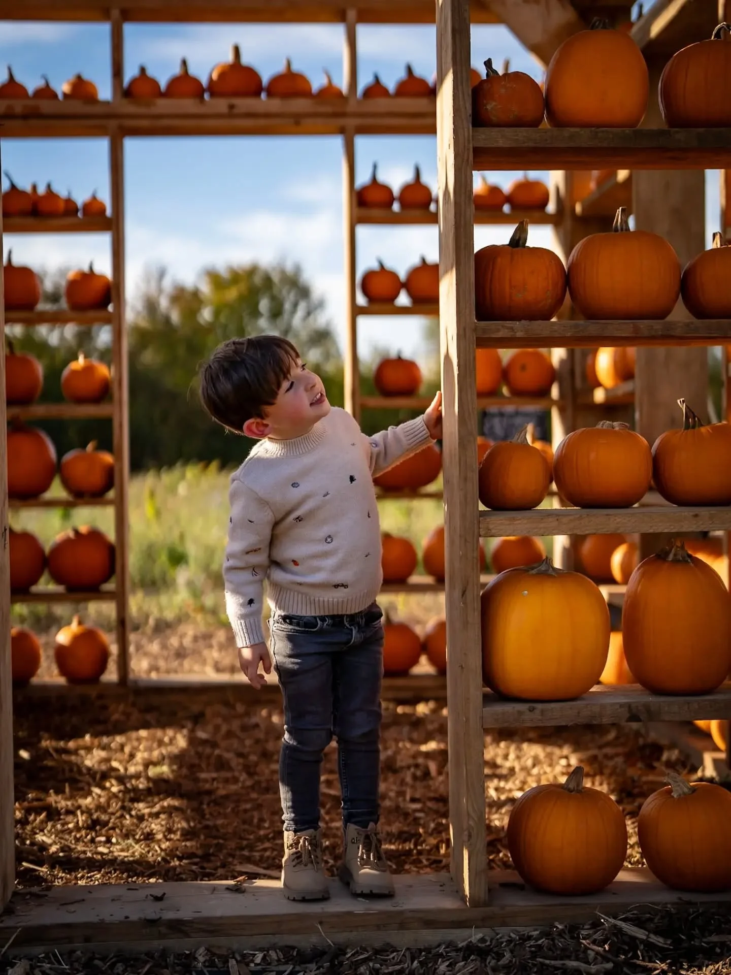 🎃 Pumpkin season is officially here!!! 🎃

A little peek from one of my pumpkin shoots at the weekend 🧡 I LOVE this time of year. The gorgeous autumn colours, the warm tones and that beautiful soft golden light make the perfect backdrop for photos.