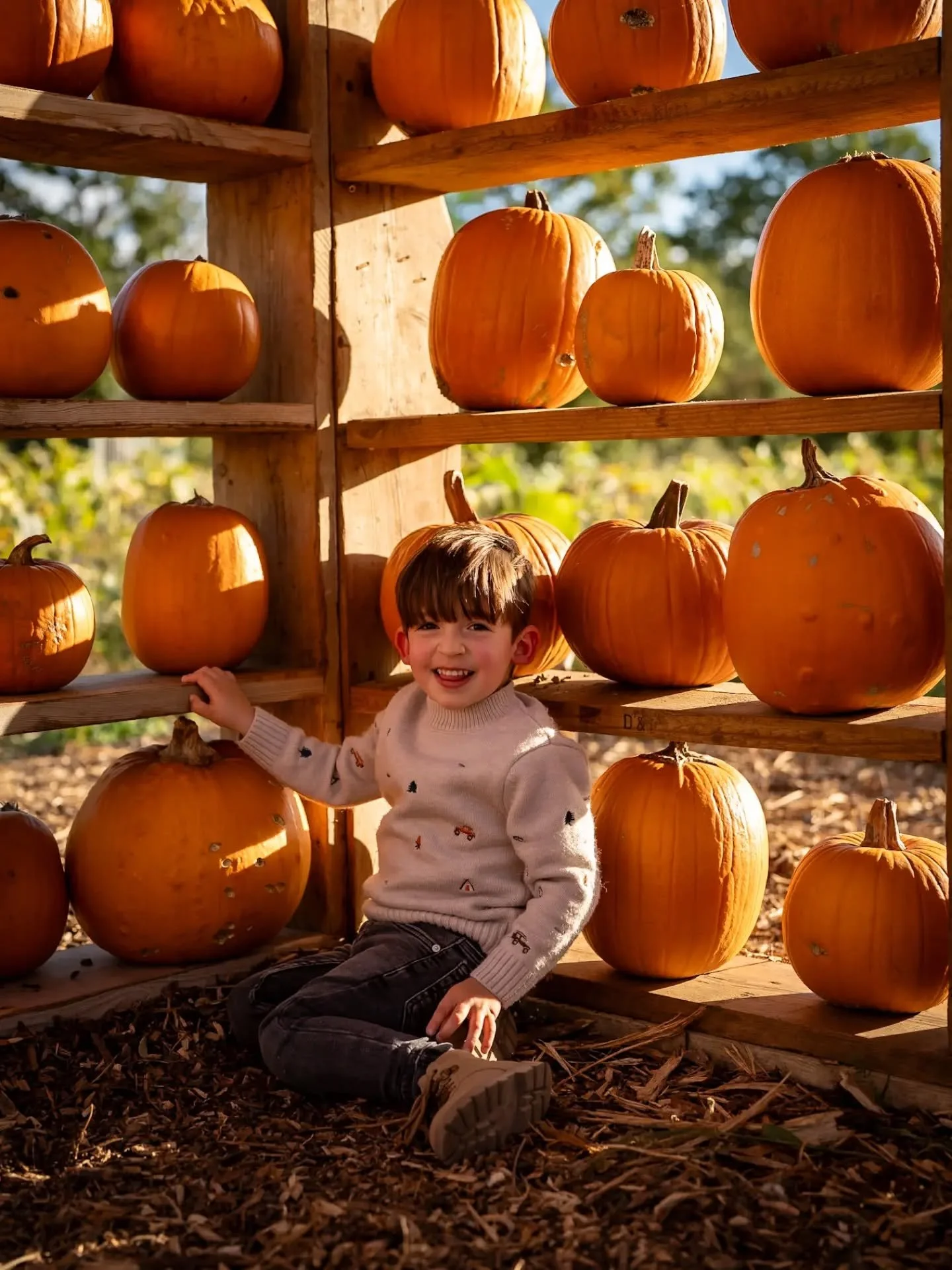 🎃 Pumpkin season is officially one of my favourite times of the year! 🎃 

Here&rsquo;s another gorgeous shot from one of my pumpkin shoots at the weekend. 🍂

Bright autumn colours, beautiful skies, lots of fun and, plenty of pumpkins! The soft gol