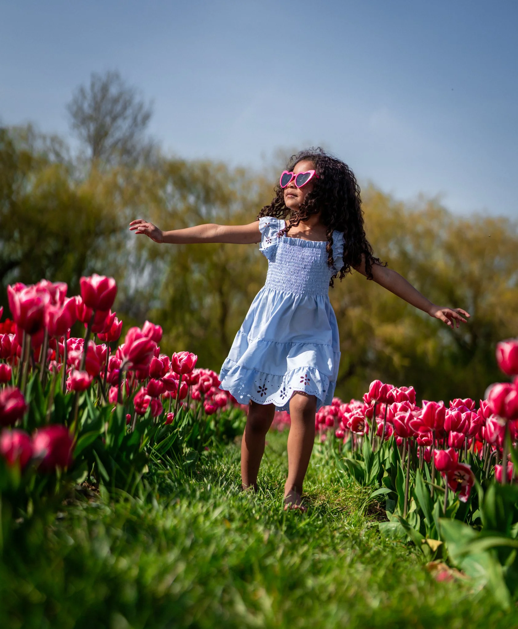 Young girl wearing pink heart-shaped sunglasses and a white dress with eyelet details, standing in a garden of pink tulips, with outstretched arms and a joyful expression, under a clear blue sky. photographed at hatters farm, essex. Anne Wills Photog