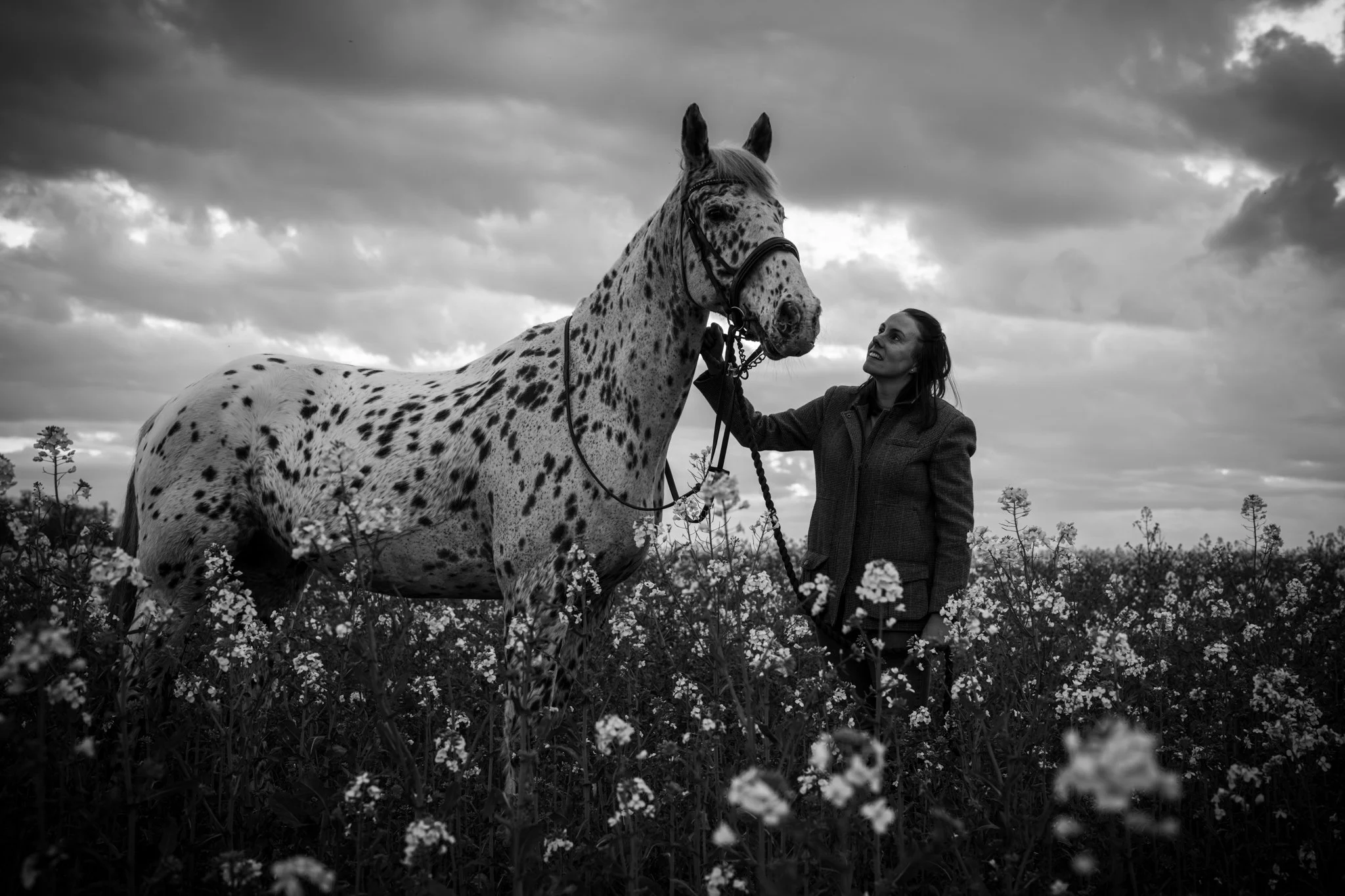 A woman in a blazer standing in a field of flowers meets a white horse with black spots under a cloudy sky. in a field in feasted, Essex. Anne Wills Photography 