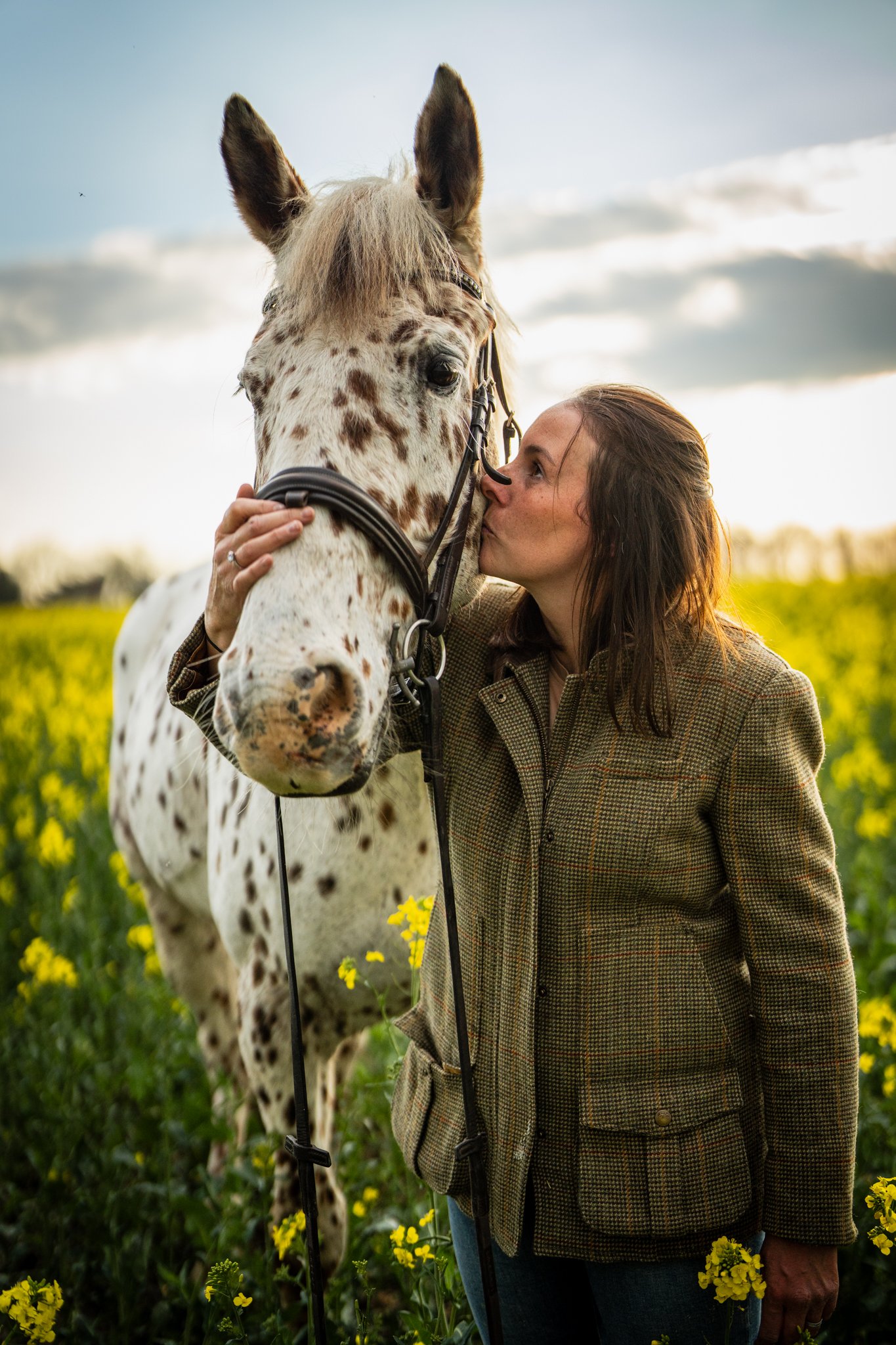 A lady kissing her horse at sunset