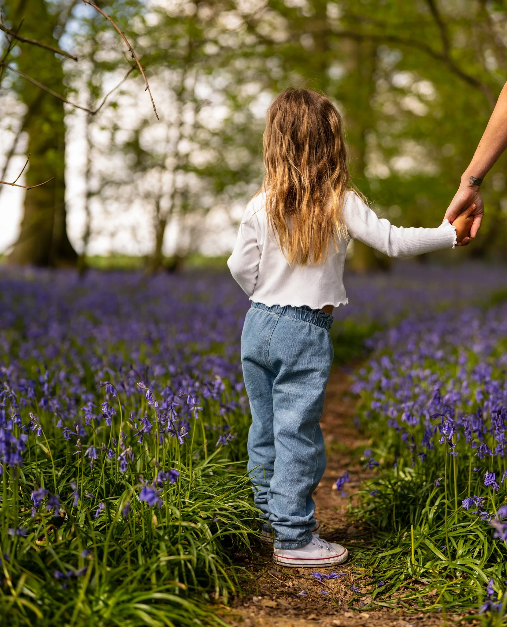 A young girl with wavy, light brown hair holding hands with an adult while walking on a dirt path through a field of purple wildflowers in a wooded area. photographed in bluebell woods, Salford, Essex Anne Wills Photography 