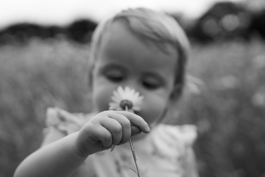 A young girl holding a flower close to her face in a field, black and white. Anne Wills Photography. Braintree, Essex