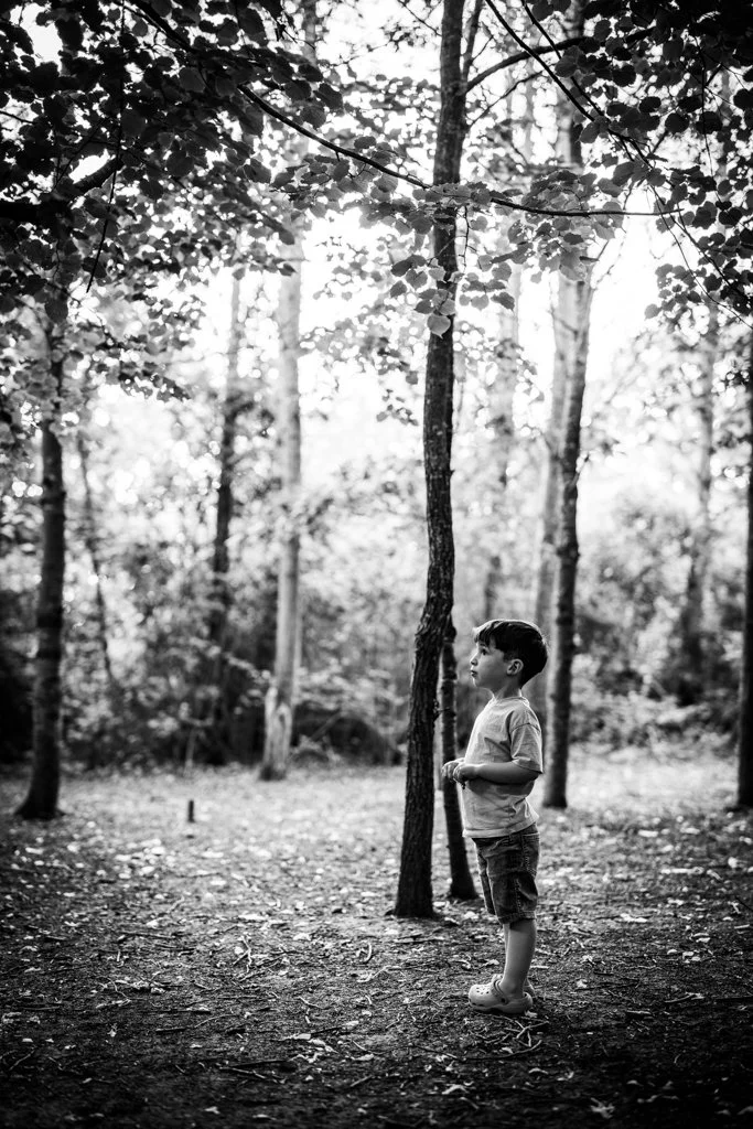 A young boy standing in a forest, looking up at the trees. The photo is in black and white, with sunlight filtering through the leaves. Anne Wills Photography. Braintree, Essex