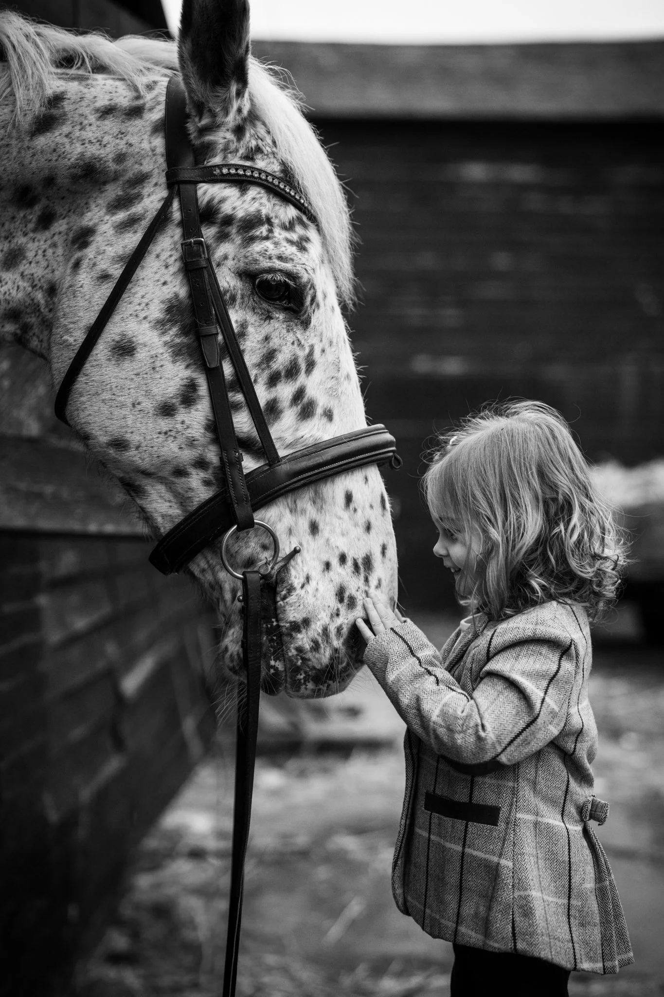 Little girl and her horse. faces really close