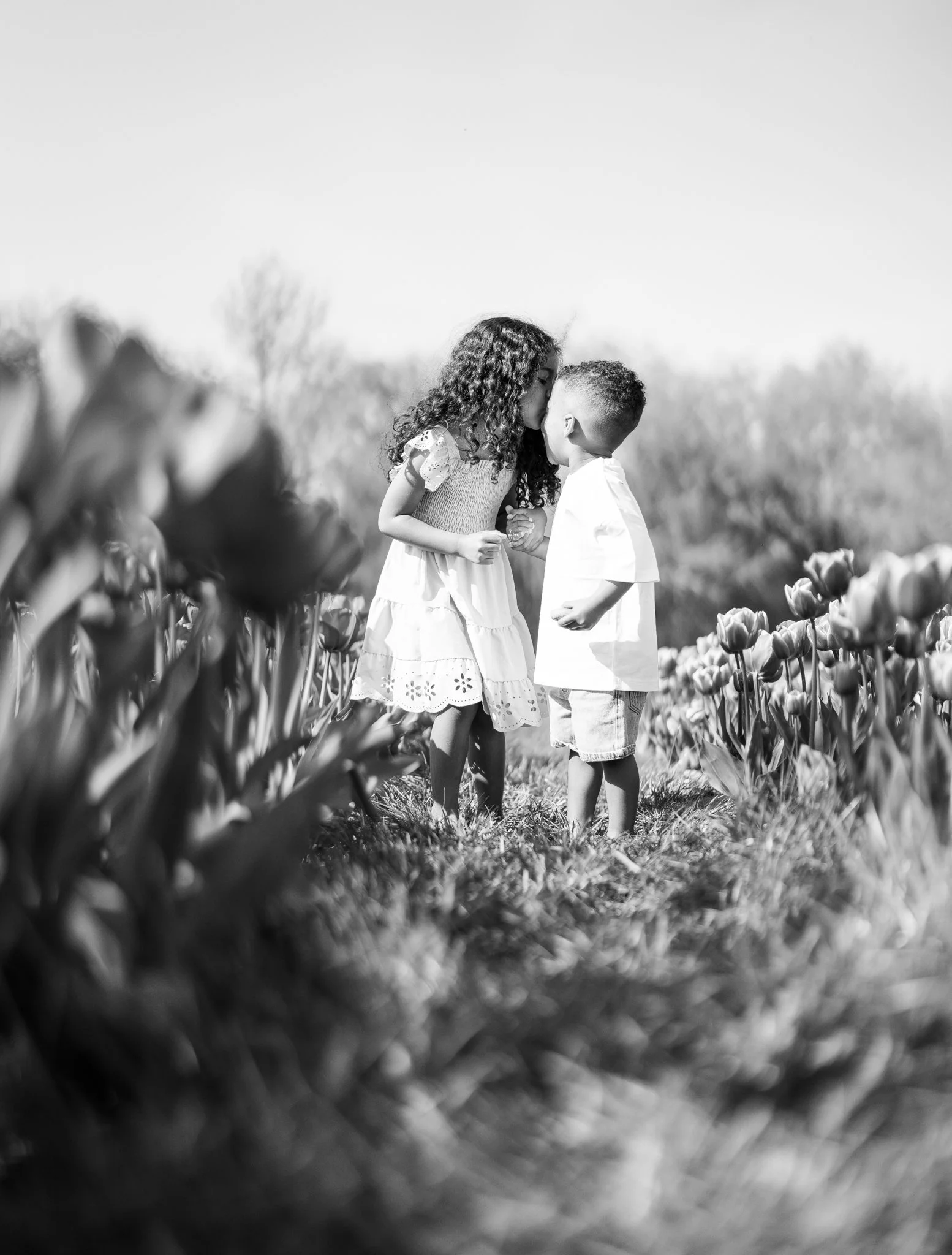 A black and white photo of a girl and a boy standing close together in a field of flowers. The girl is gently kissing the boy on the forehead while holding his hands. The background shows trees and a clear sky. photographed in hatters farm Essex. Ann