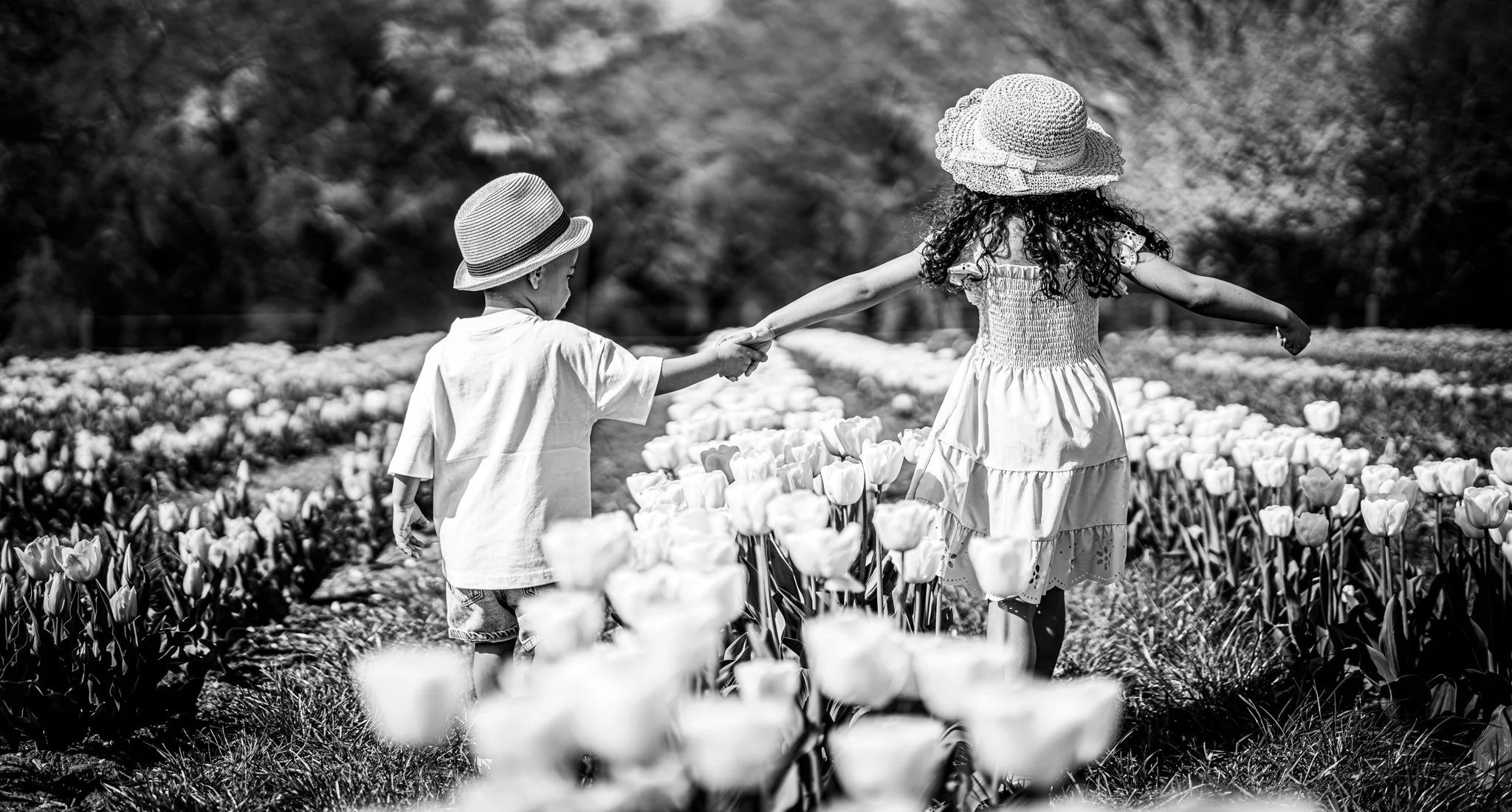 Two children, a boy and a girl, holding hands while walking through tulip fields, wearing sun hats, in a black and white photograph.