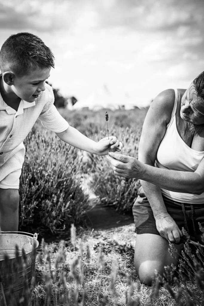 A boy and a woman in a field of wildflowers exchange a small plant, with the boy smiling and the woman focused on handing over the plant.