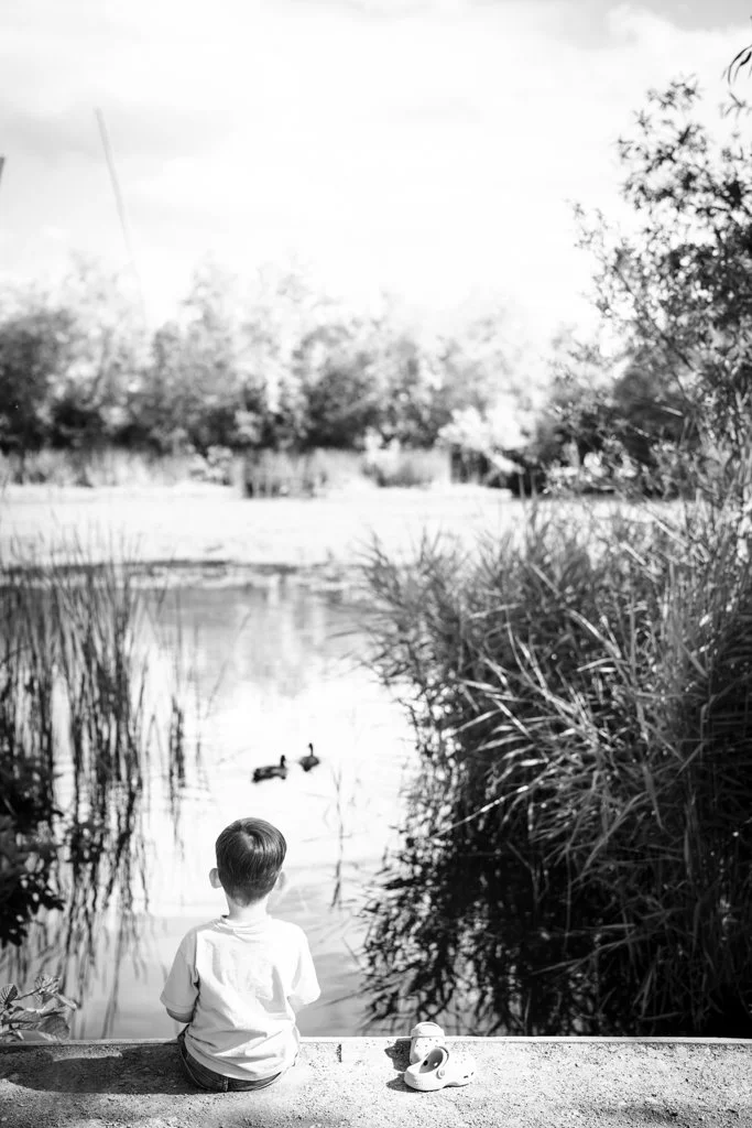 A young boy sitting on a concrete ledge near a pond, watching ducks swim in the water in a natural outdoor setting with trees and grass. Anne Wills Photography. Braintree, Essex
