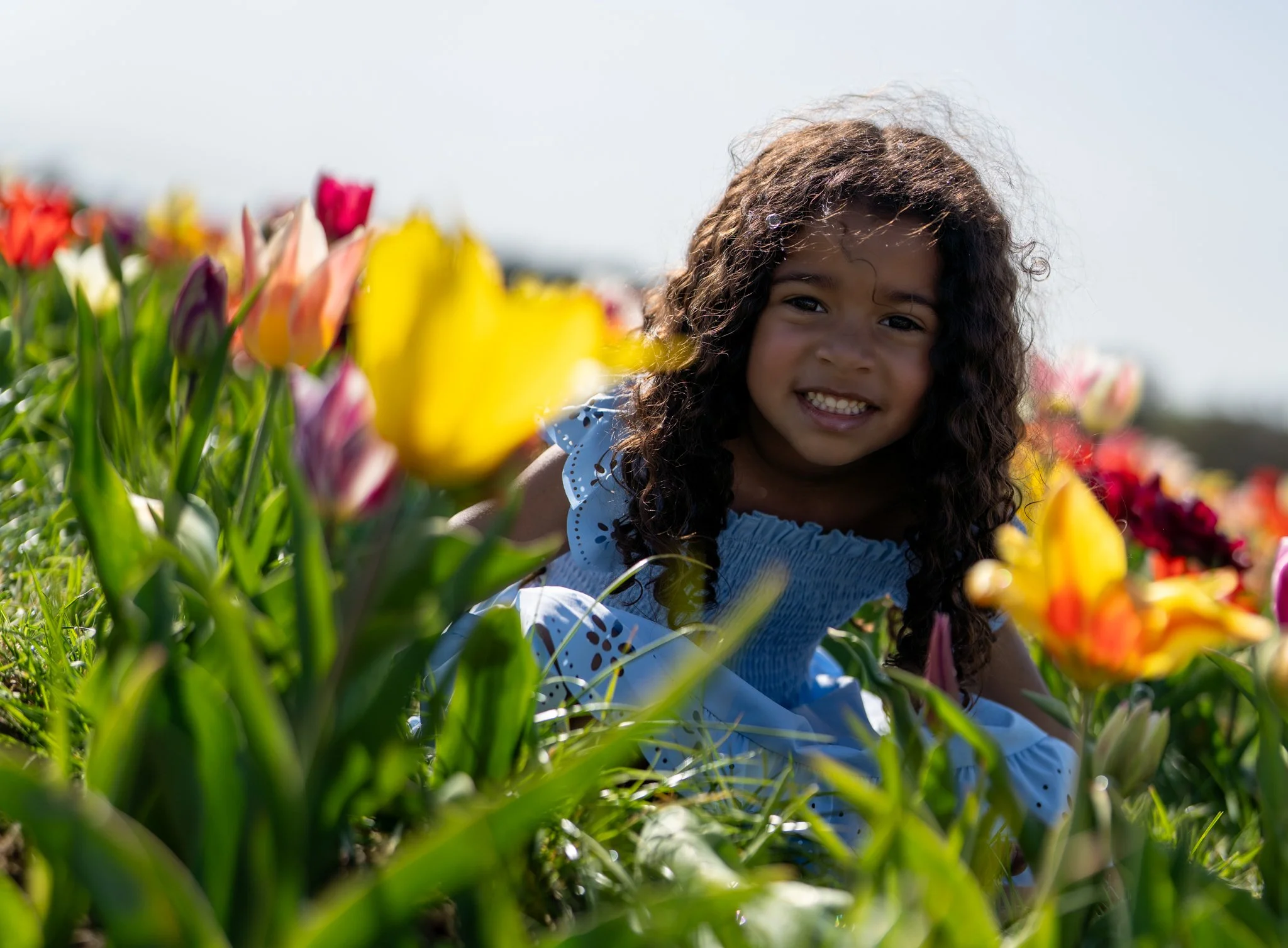 A young girl with curly hair smiling and looking at the camera while sitting among colorful tulips in a garden on a sunny day. Hatters farm, Essex Anne Wills Photography 