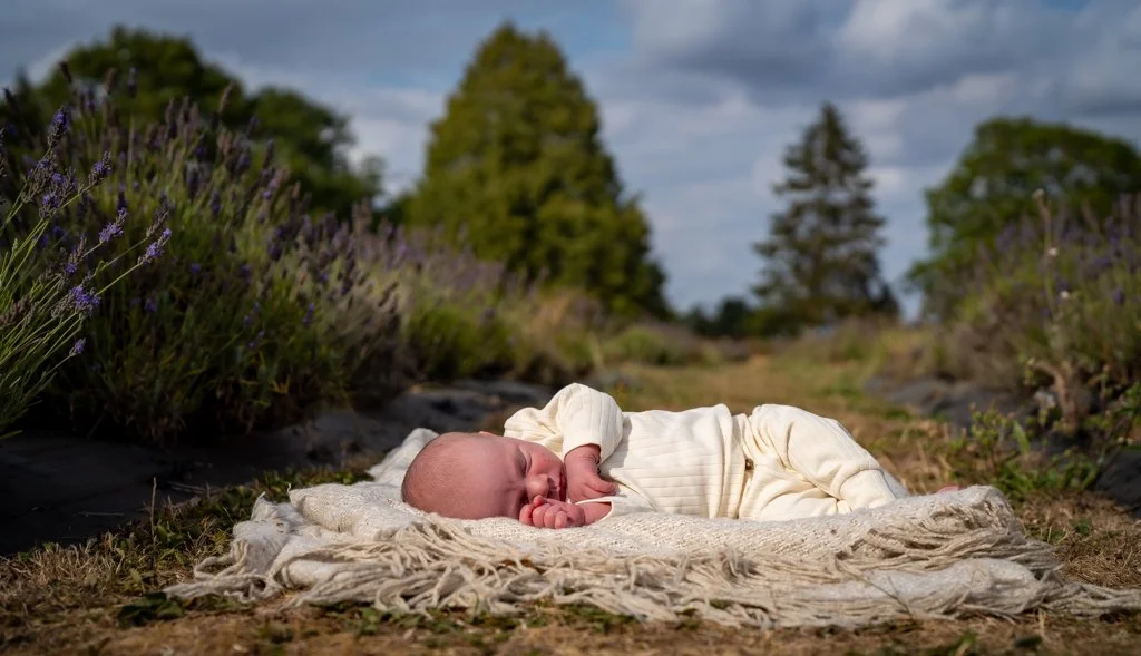 A newborn baby sleeping on a blanket outdoors in a lavender field on a cloudy day.