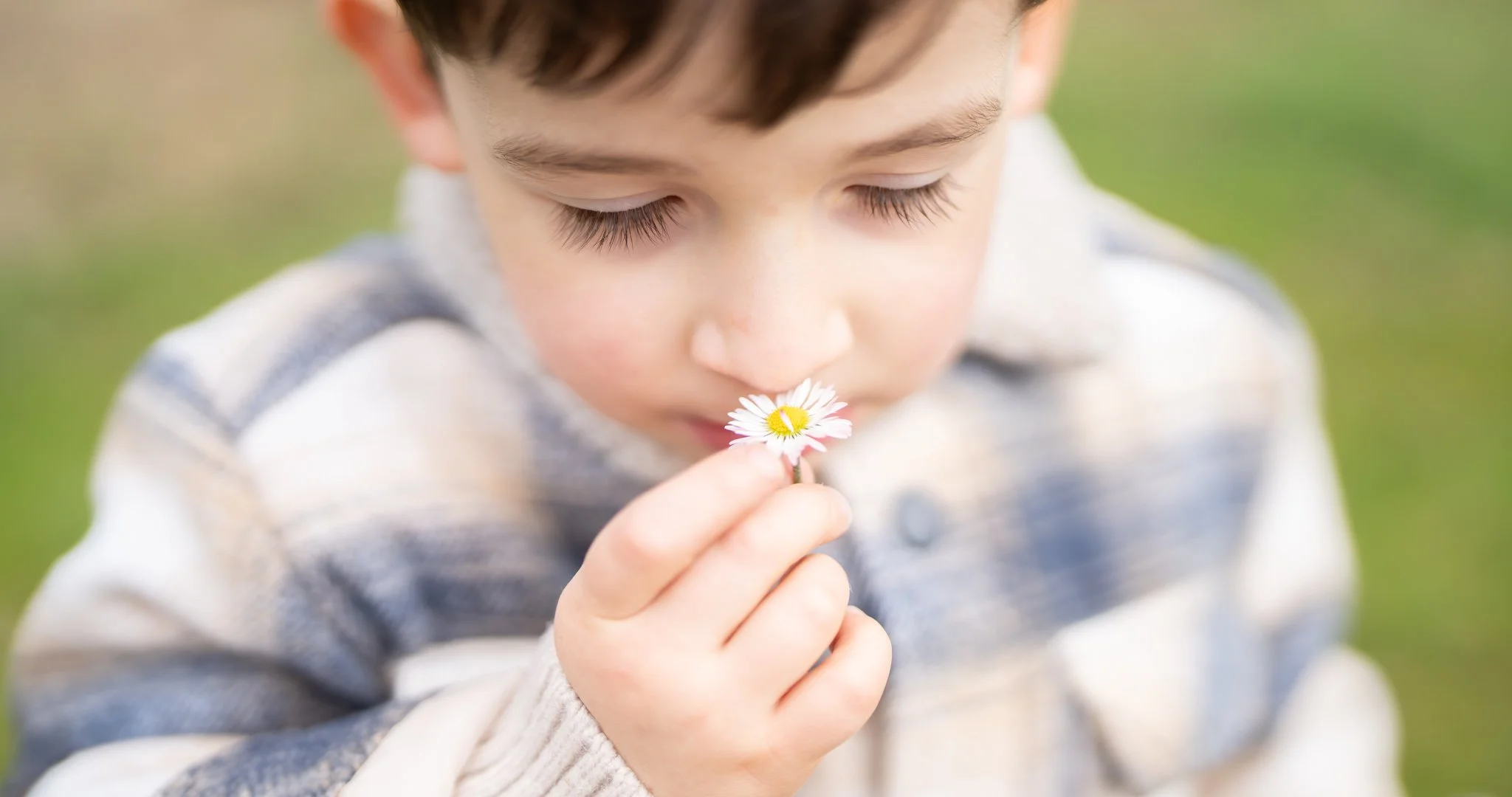 A young boy with dark brown hair and long eyelashes smelling a small white daisy flower outdoors with a blurred green background.  Anne Wills Photography 