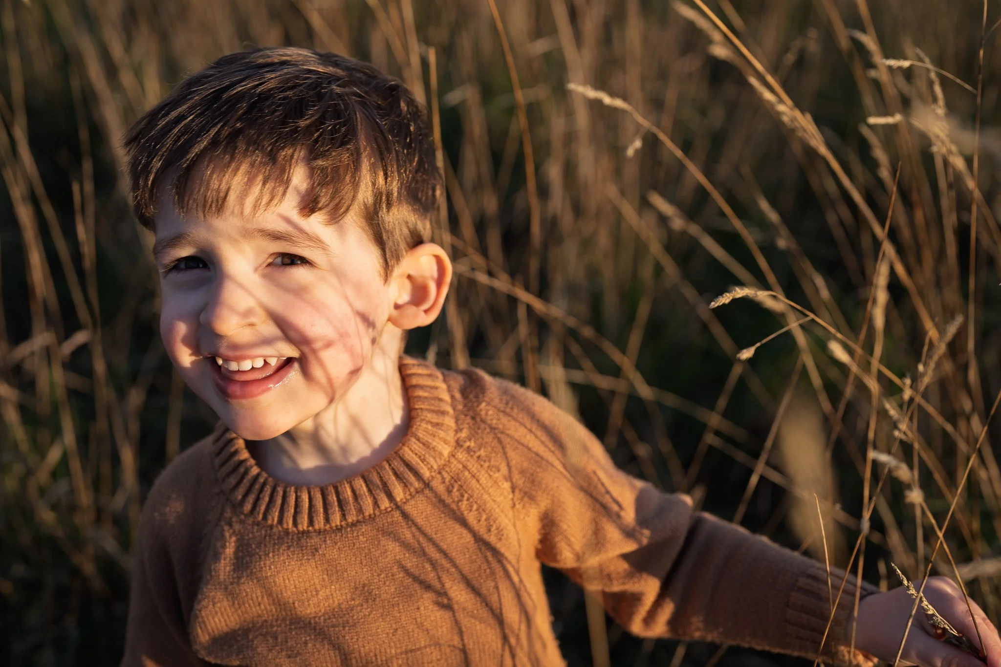 A young boy smiling in a field of tall dry grass during sunset. photographed in a field in Braintree, Essex