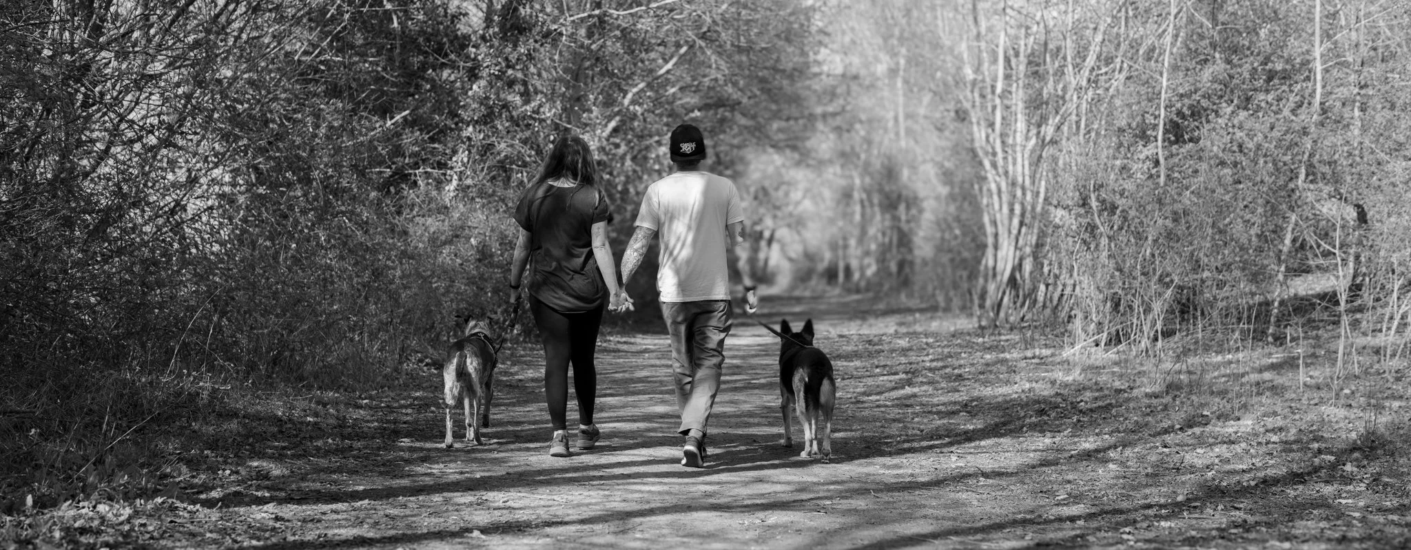 A couple walking hand in hand with two dogs on a dirt path through a wooded area. photographed in Rayne, Essex. Anne Wills Photography 