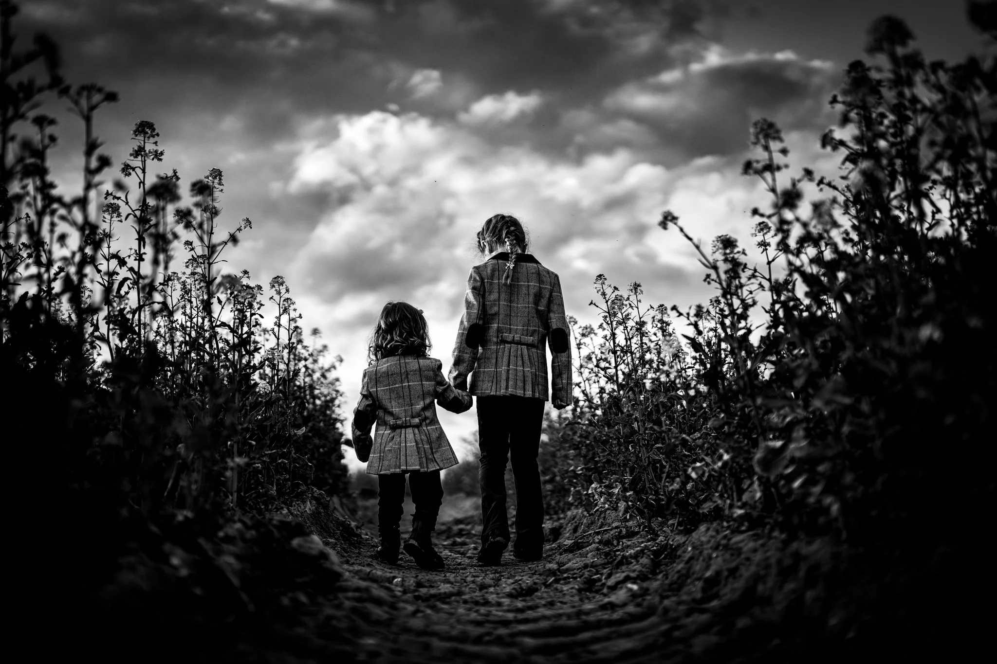 Two children, a girl and a boy, walking hand in hand through a garden or field with tall plants on either side, against a cloudy sky background. photographed in field in feasted Essex Anne Wills Photography 