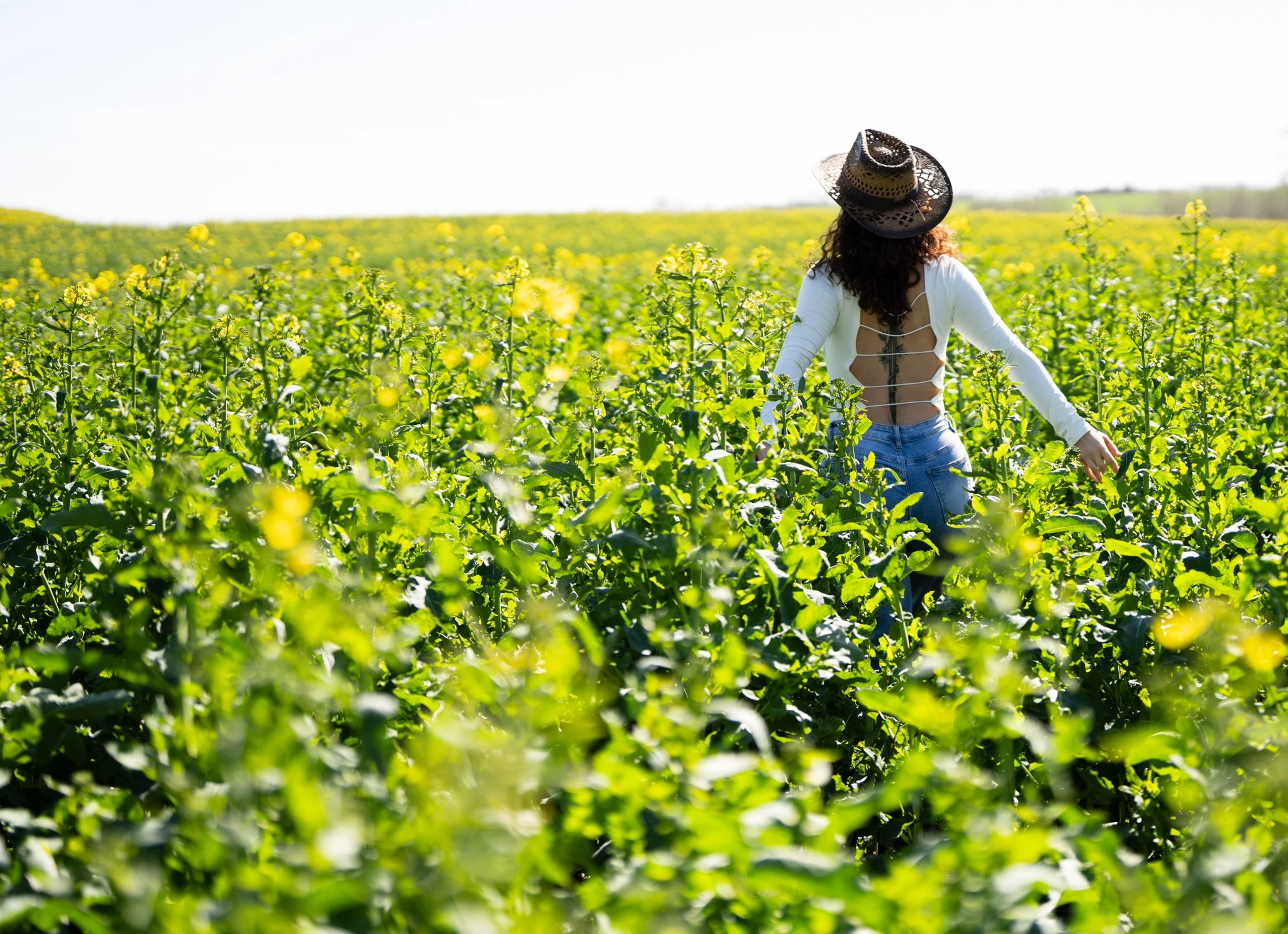 A woman wearing a wide-brimmed hat and a white backless top walking through a green field of yellow flowering plants under a bright, cloudy sky. photographed in a field in coggeshall, Essex. Anne Wills Photography 