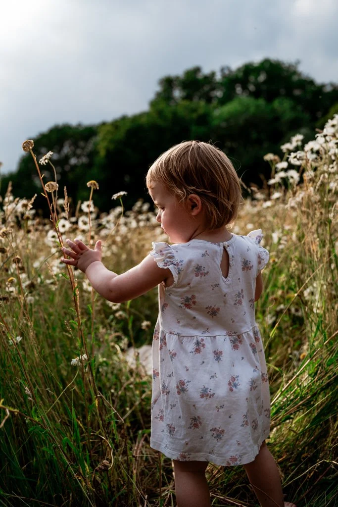 A young girl in a white floral dress standing in a field of tall grass and wildflowers, touching and looking at the plants. Anne Wills Photography. Braintree, Essex