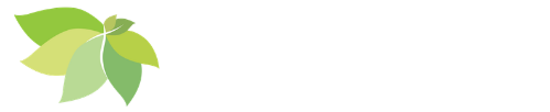 Neighborhood Preschool Academy