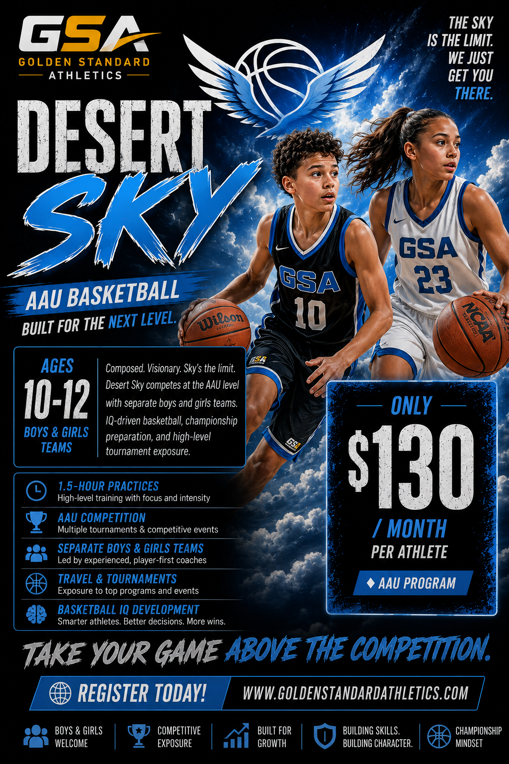Desert Sky Flyer.png