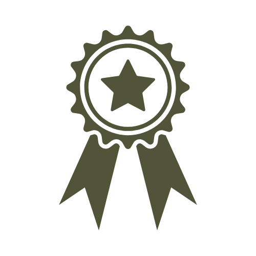 Icon of an award ribbon with a star in the center.