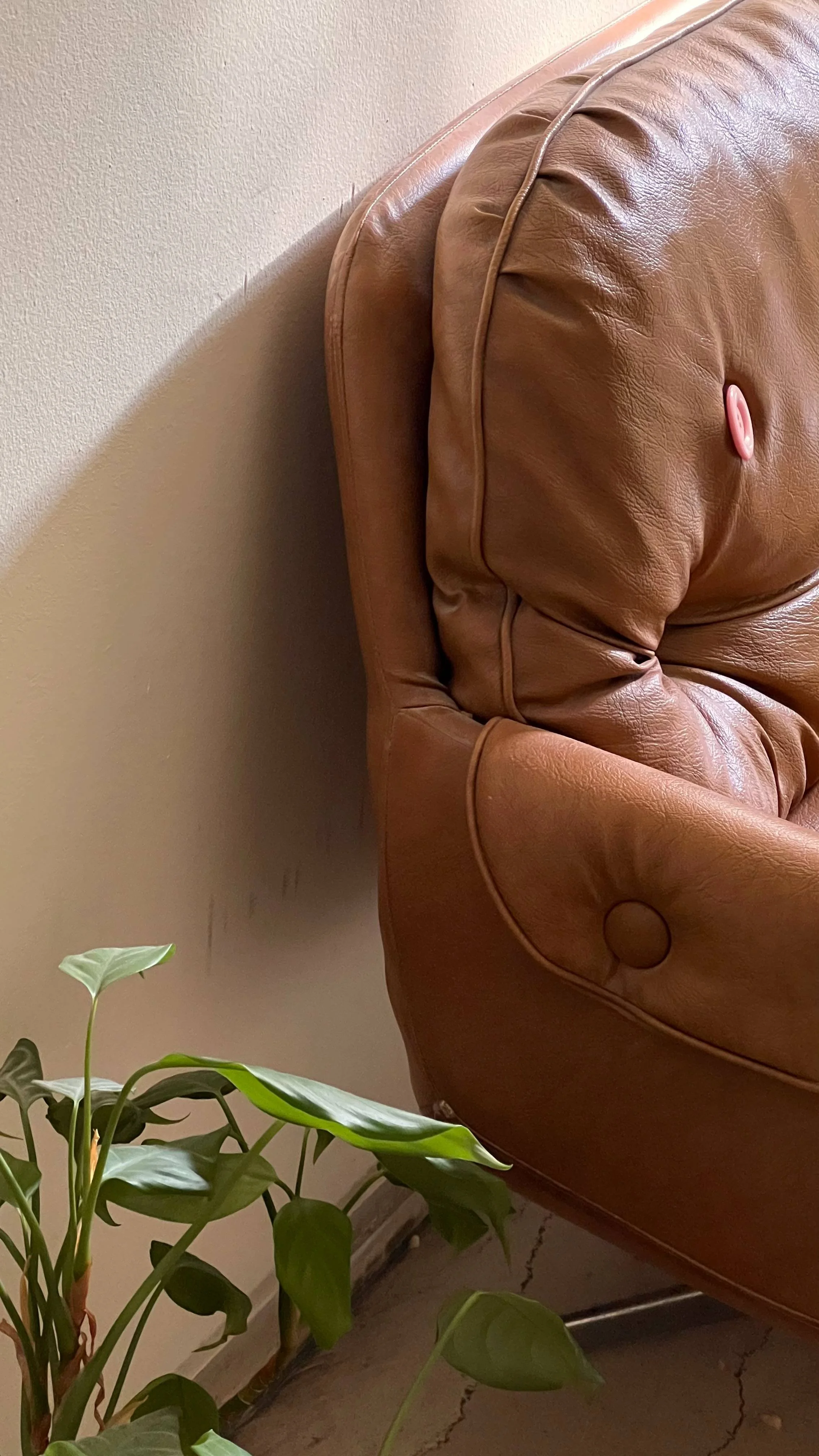 Close-up of a brown leather armchair with a thumbtack on its backrest, positioned against a light-colored wall. Part of a green houseplant with broad leaves is visible in the lower left corner.