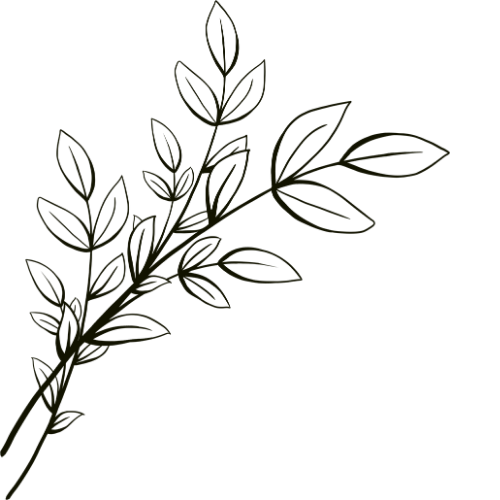 Line drawing of a leafy plant or branch on a black background.