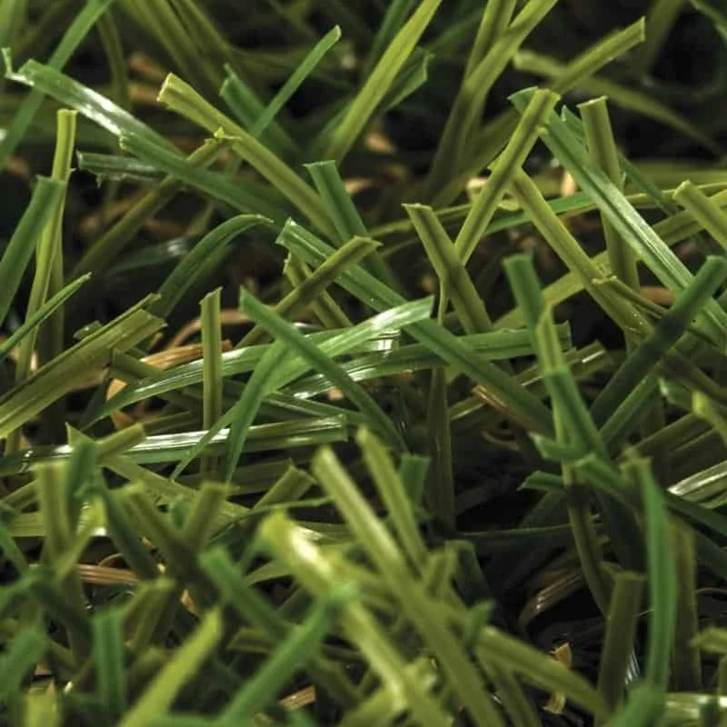 Tropical-40-EcoGrass-Closeup.jpg