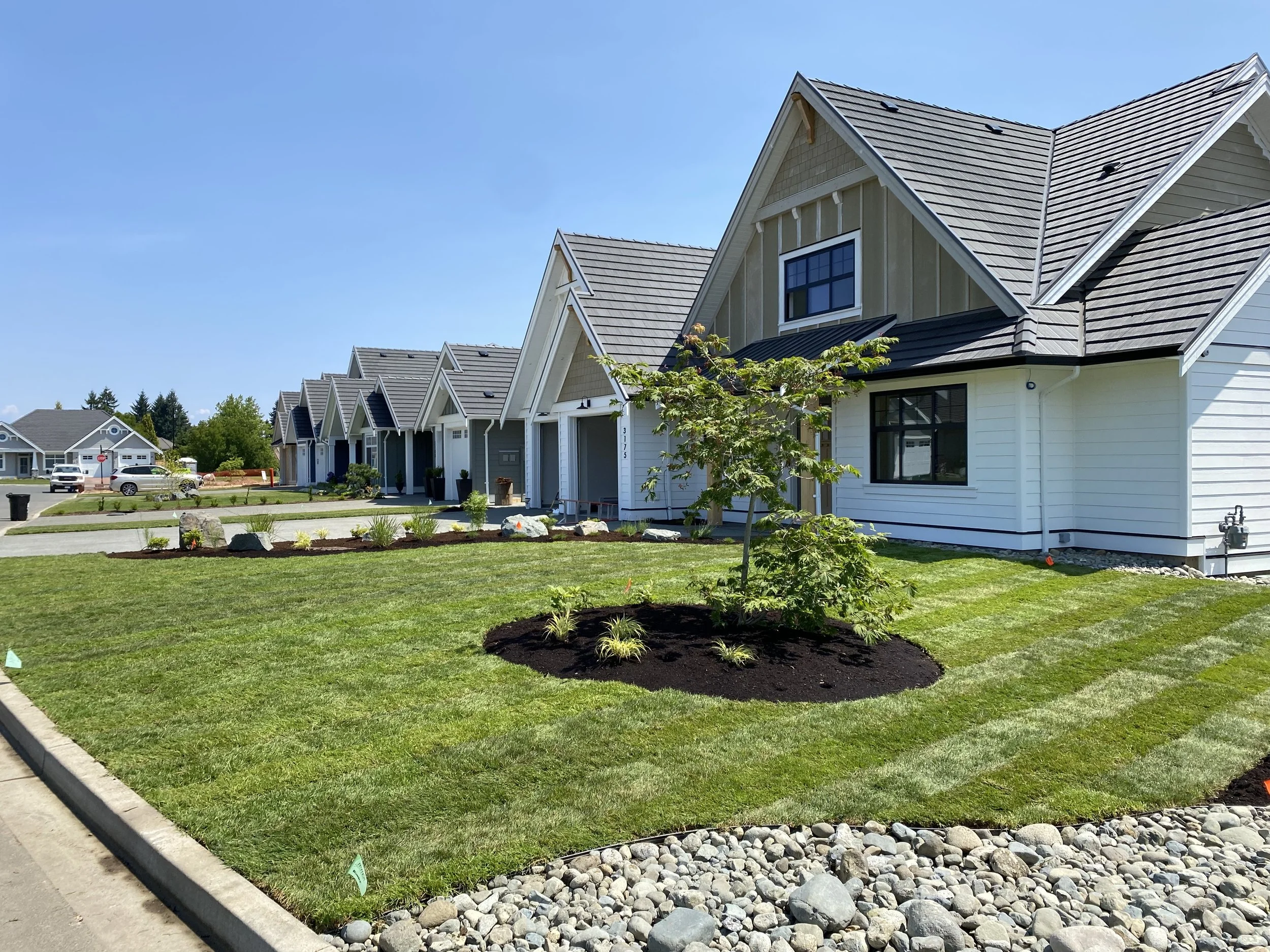 Line of modern suburban houses with manicured lawns, young trees, and landscaping in front, under a clear blue sky.