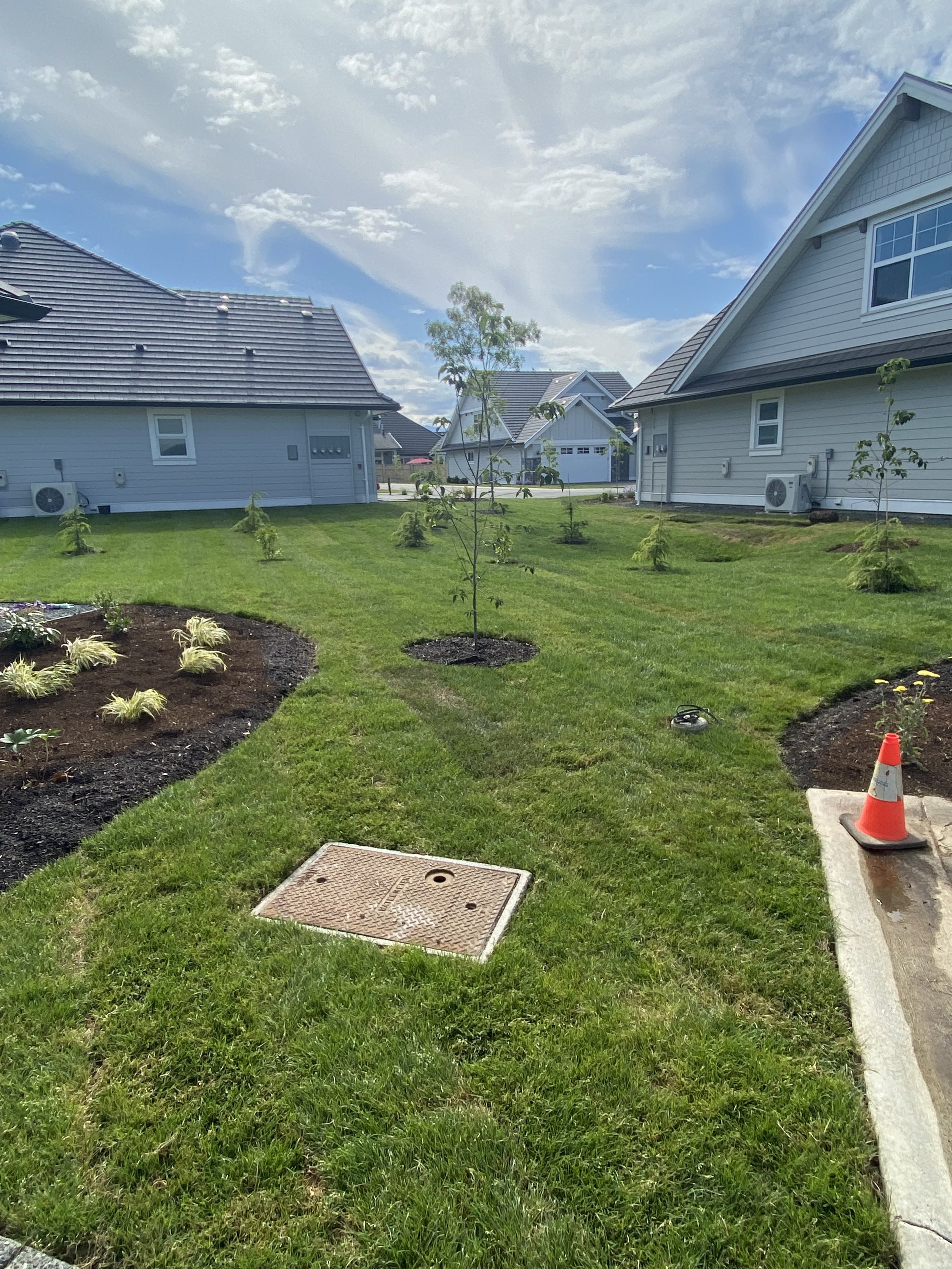 Residential backyard with small trees, planted flower bed, green grass, and a sidewalk, under partly cloudy sky.