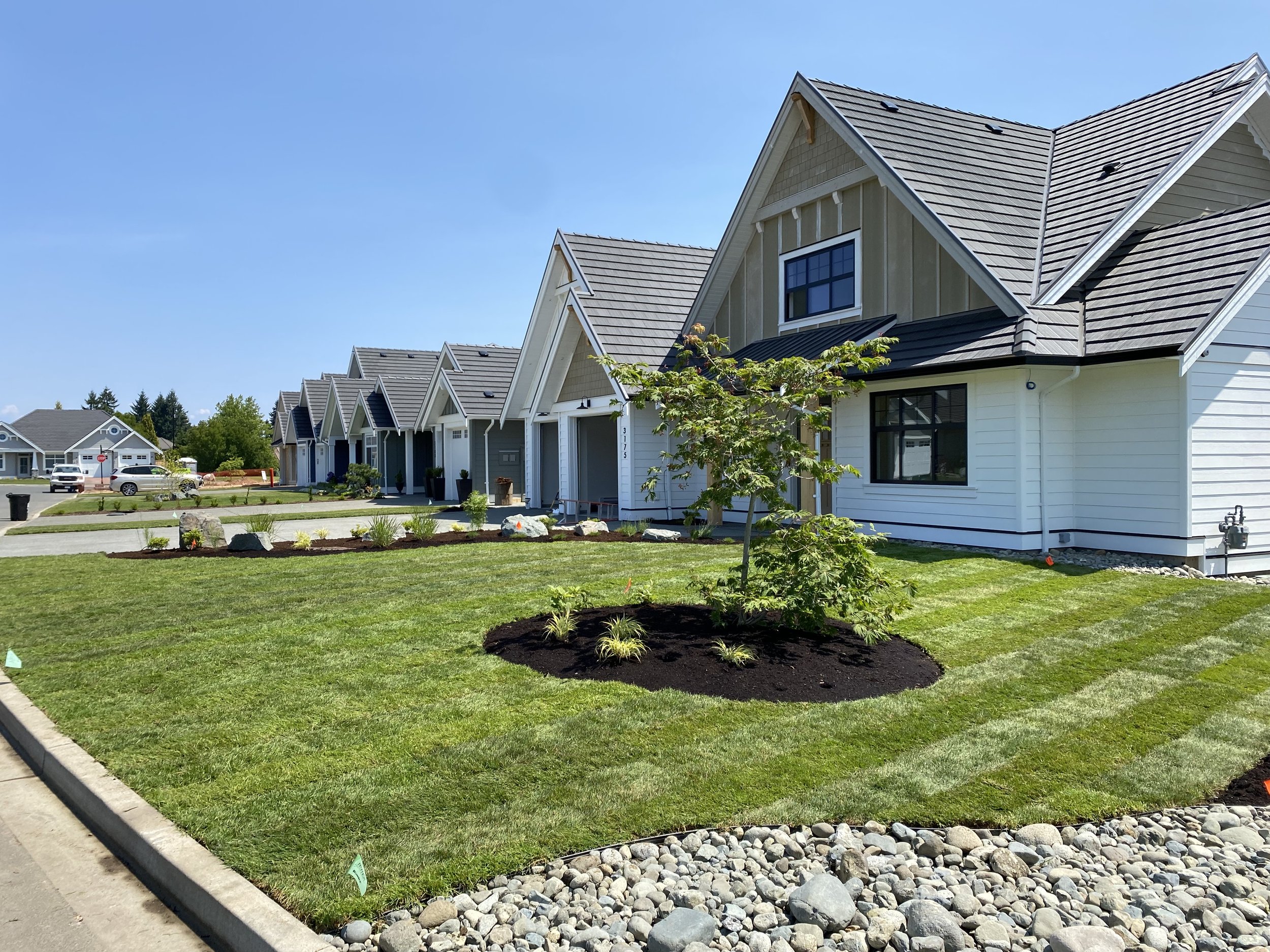 Newly landscaped front yard with a small tree and grass lawn in front of modern houses with gabled roofs on a sunny day.