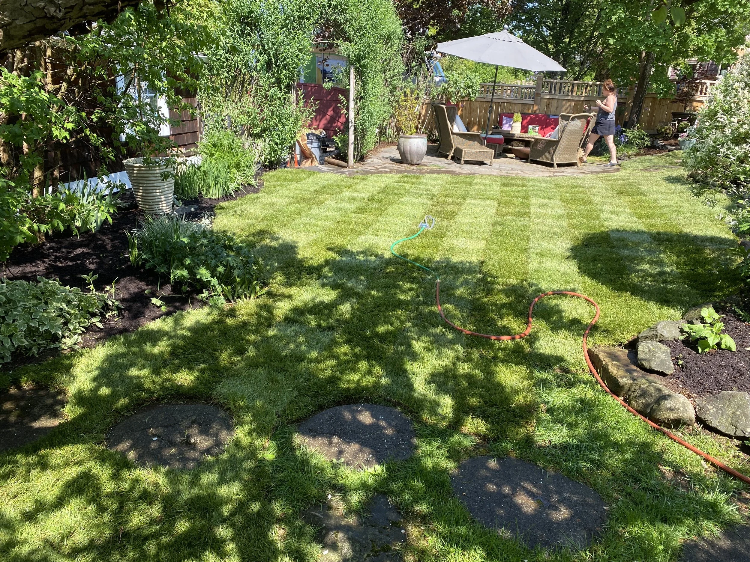 A backyard garden with freshly mowed grass, a stone pathway, garden beds with plants, a patio area with outdoor furniture and a woman walking, and a garden hose on the lawn.