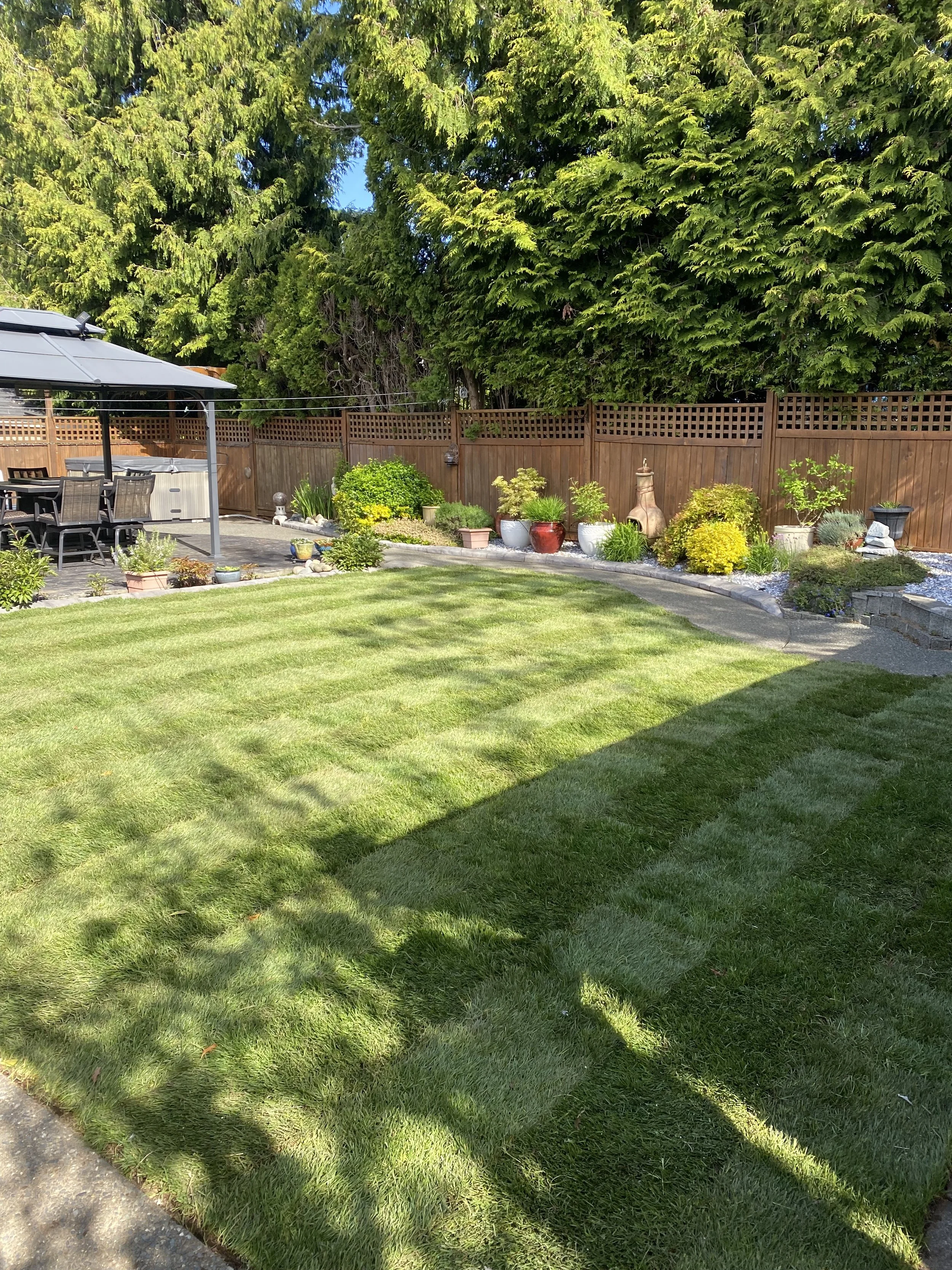 A well-maintained backyard with a lush green lawn, a wooden privacy fence, a patio area with outdoor furniture, a shade umbrella, and decorative plants in pots along the fence. Tall trees provide shade and privacy.