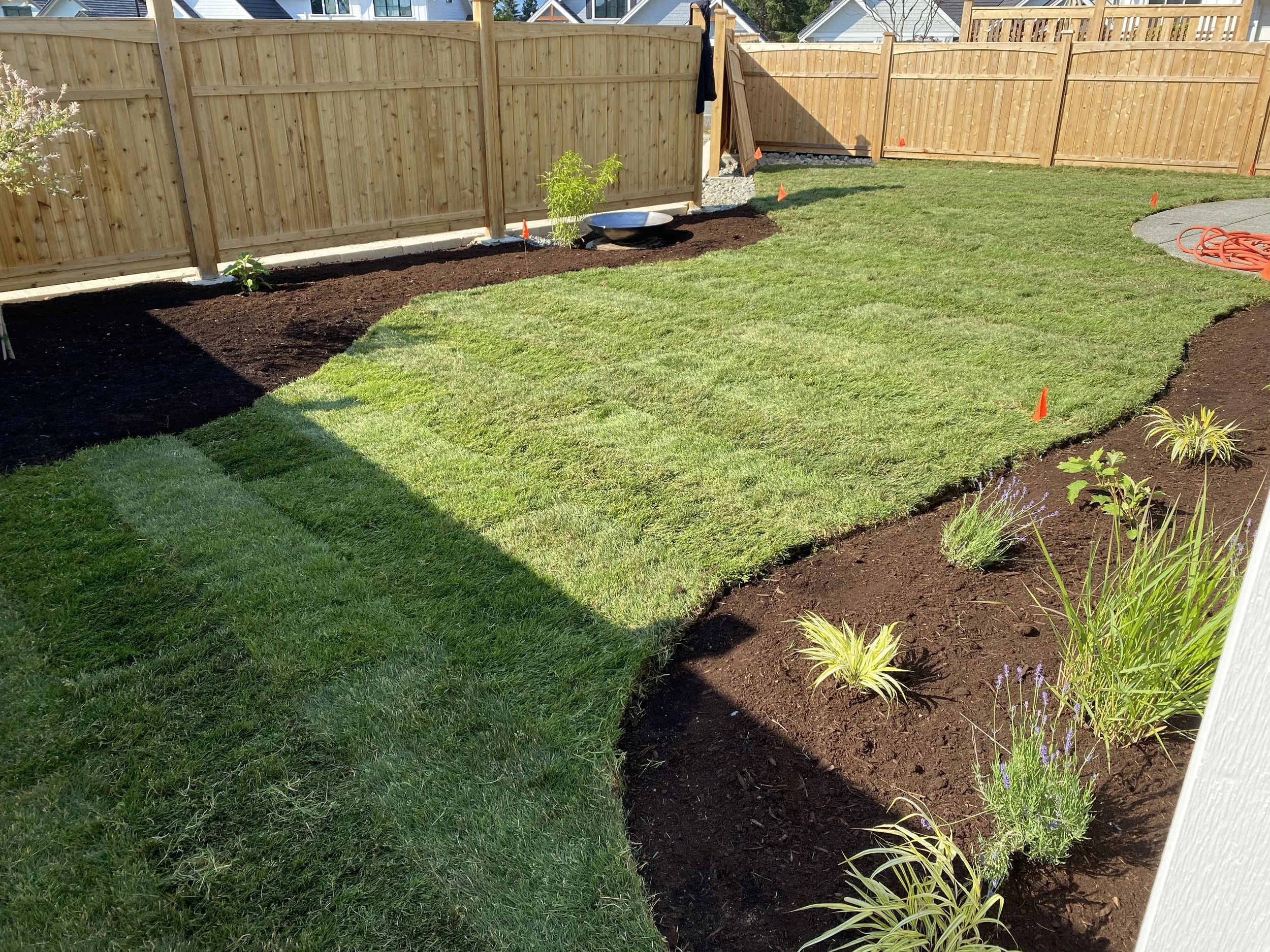 A backyard with a newly laid green lawn, flower beds with small plants, and a wooden privacy fence. Some garden tools and a hose are visible.