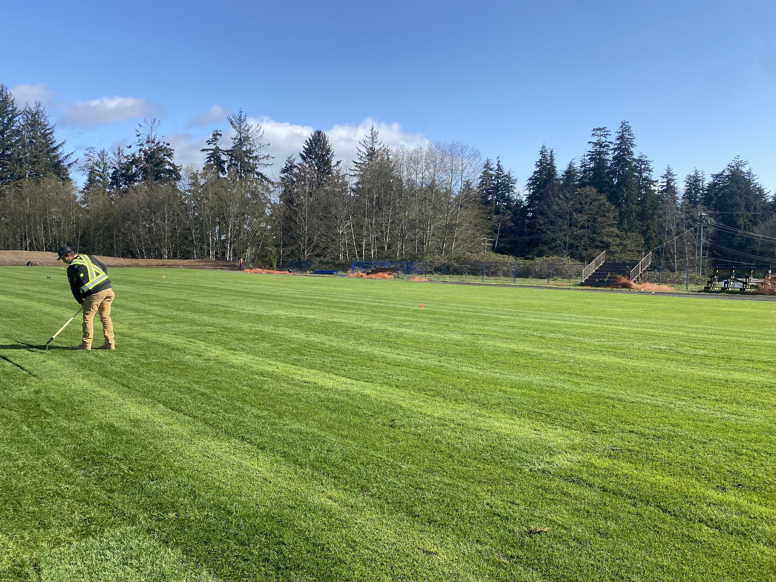 A person in a safety vest is mowing a green lawn with a push mower, with trees and a blue sky in the background.