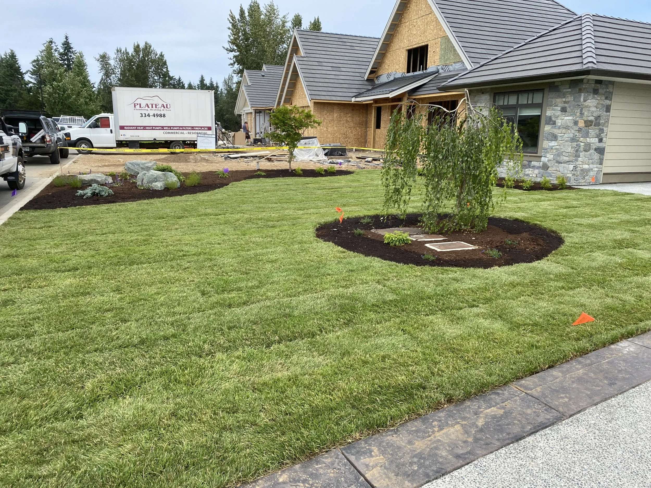 Newly landscaped front yard with freshly mowed grass, a small tree, and planted shrubs around a circular mulch bed. Construction is ongoing in the background with a house under construction and vehicles parked nearby.
