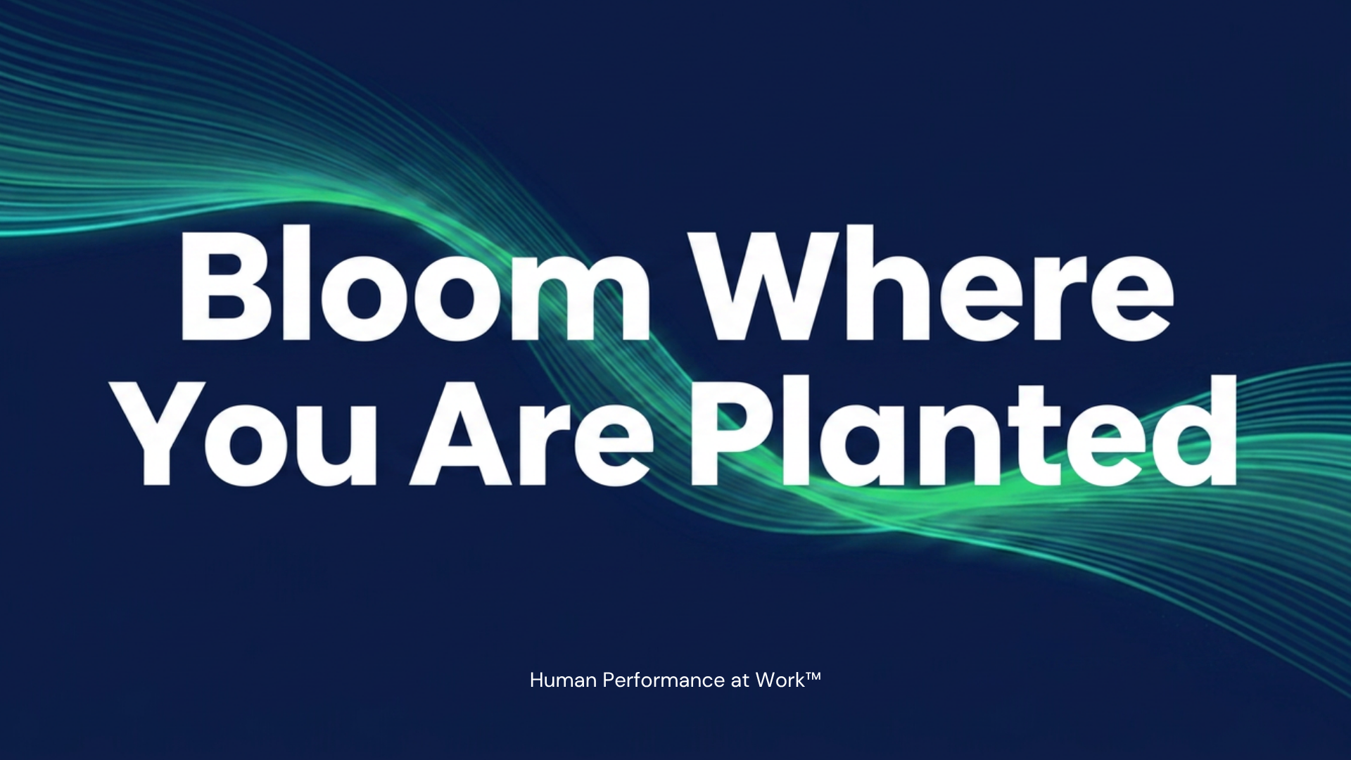 Bloom Where You Are Planted Team Facilitation Kit