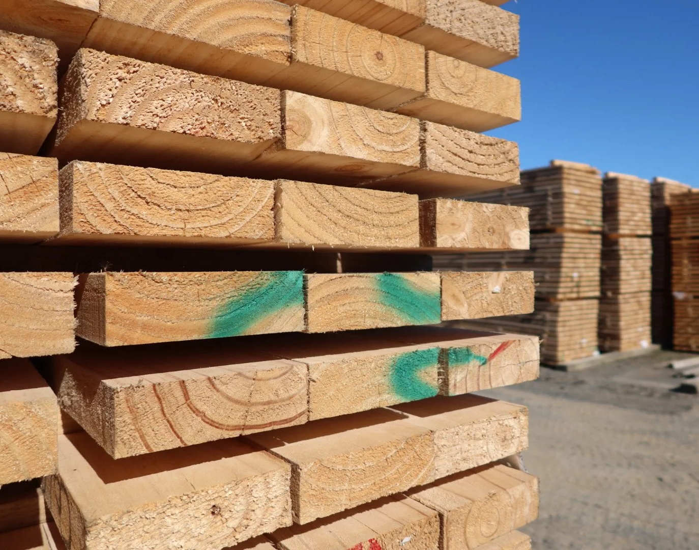 Stacks of cut wood planks outdoors under a clear blue sky, with some planks marked with green paint.