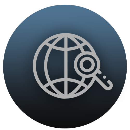 Icon of a globe with a magnifying glass and target symbol