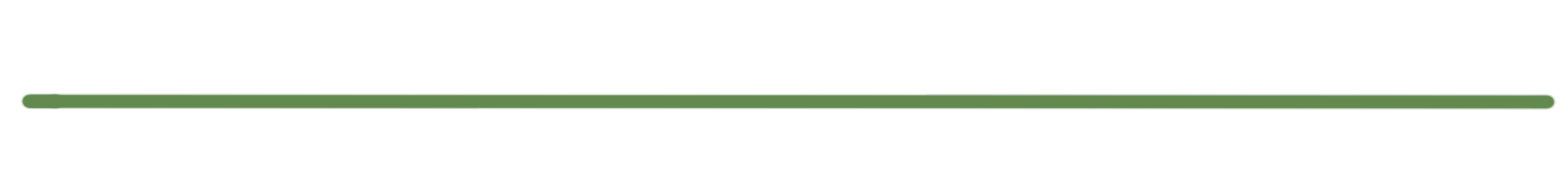 Decorative divider line