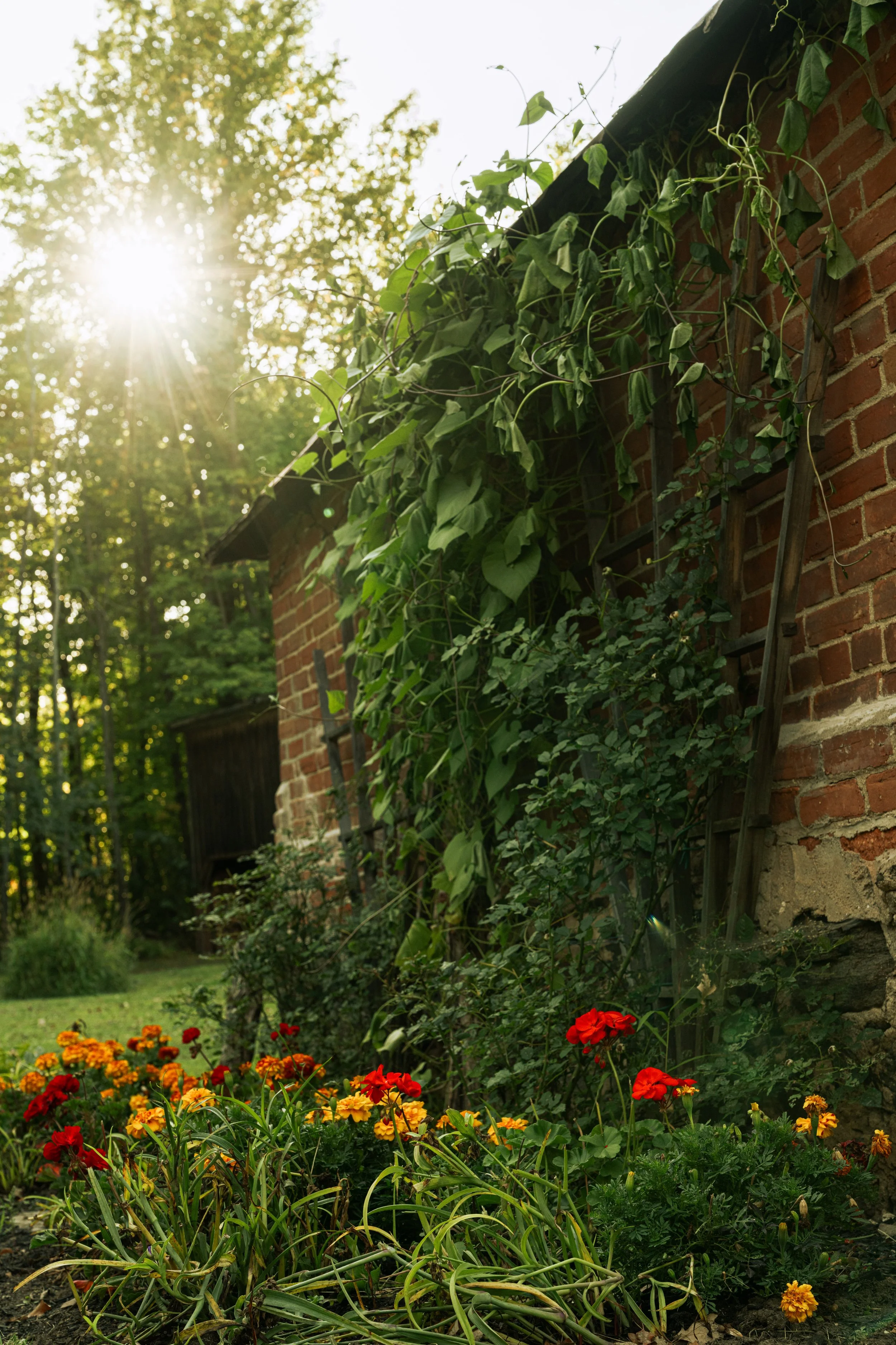 Carswell House-73.jpg