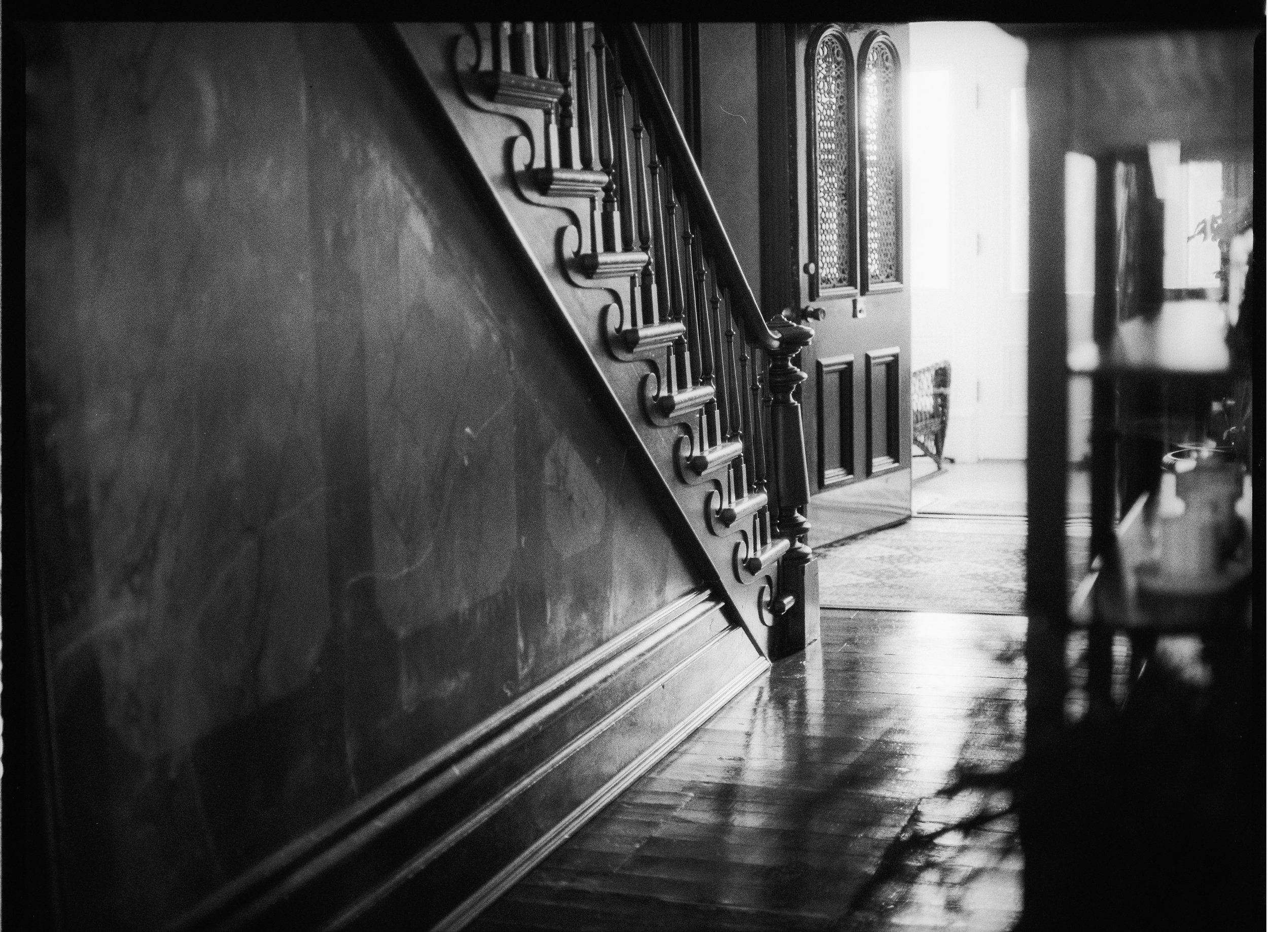Captured by Virginia Luella