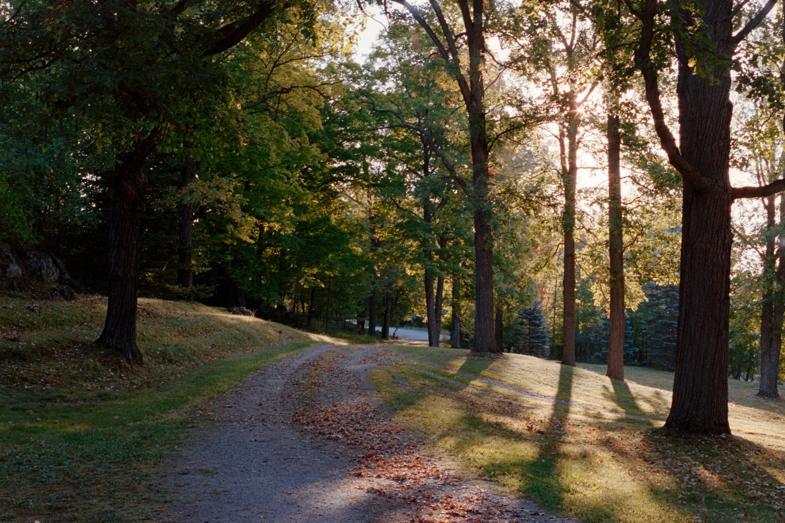 Carswell House-1.jpg