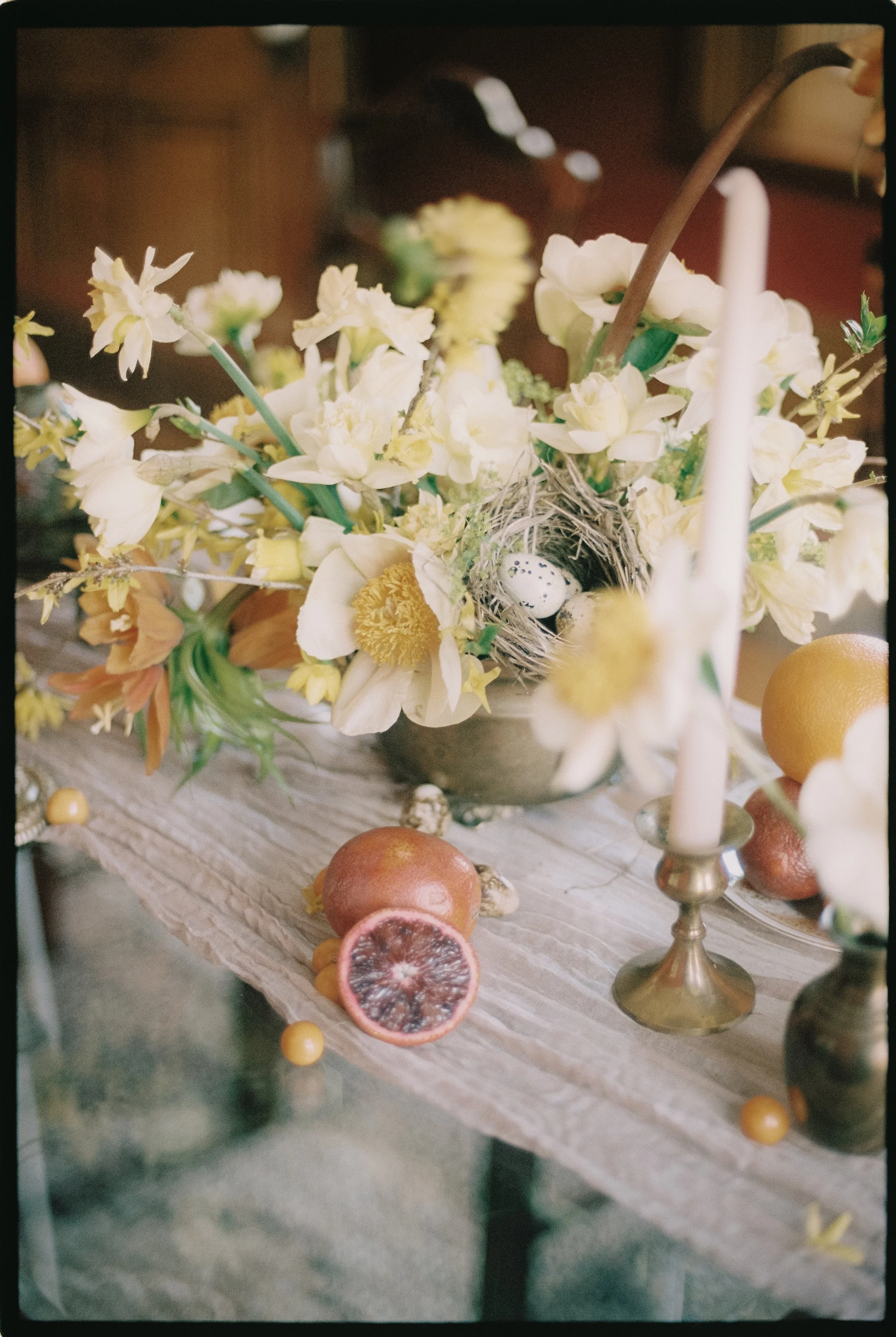 Captured by Virginia Luella