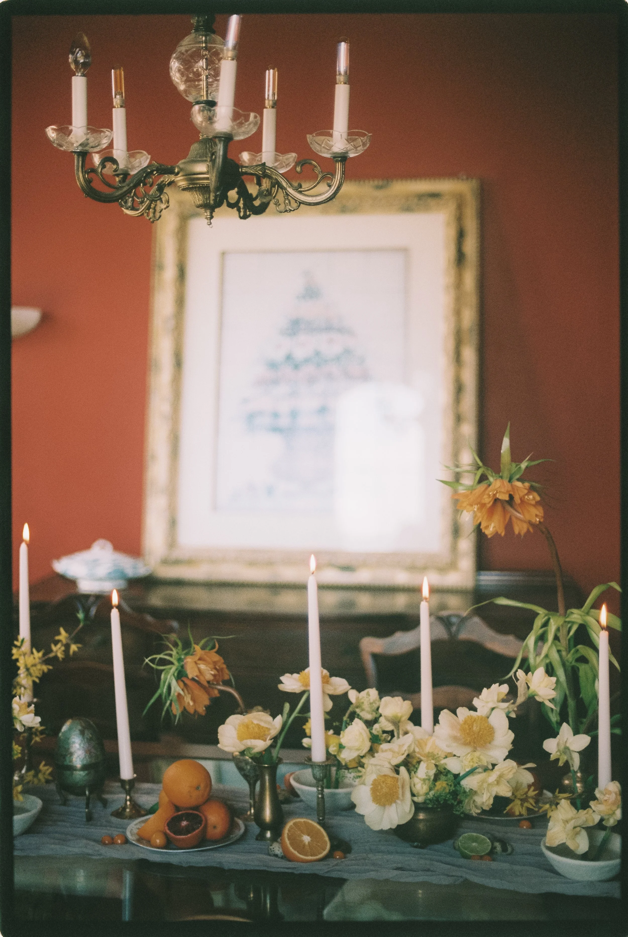 Captured by Virginia Luella