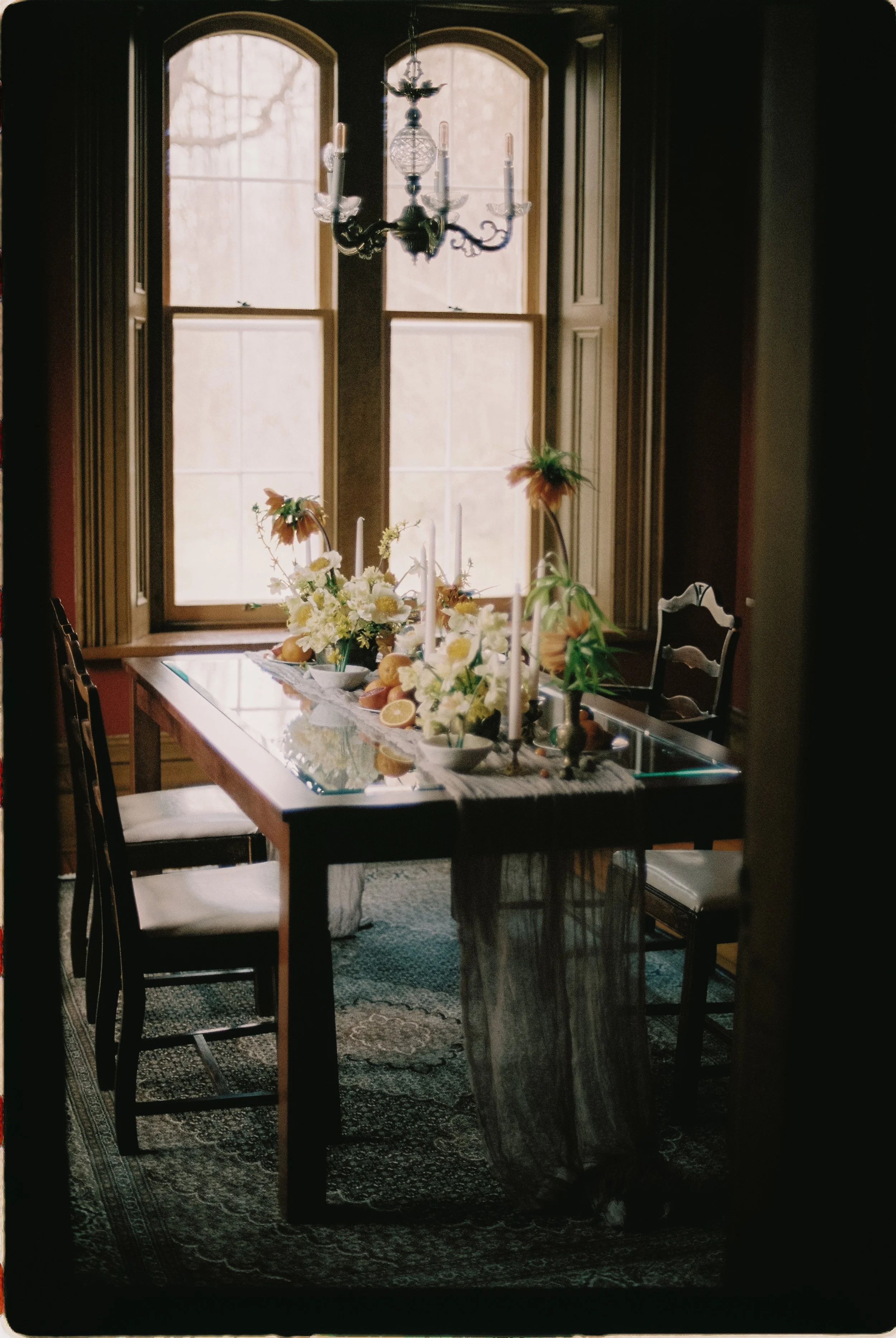 Captured by Virginia Luella