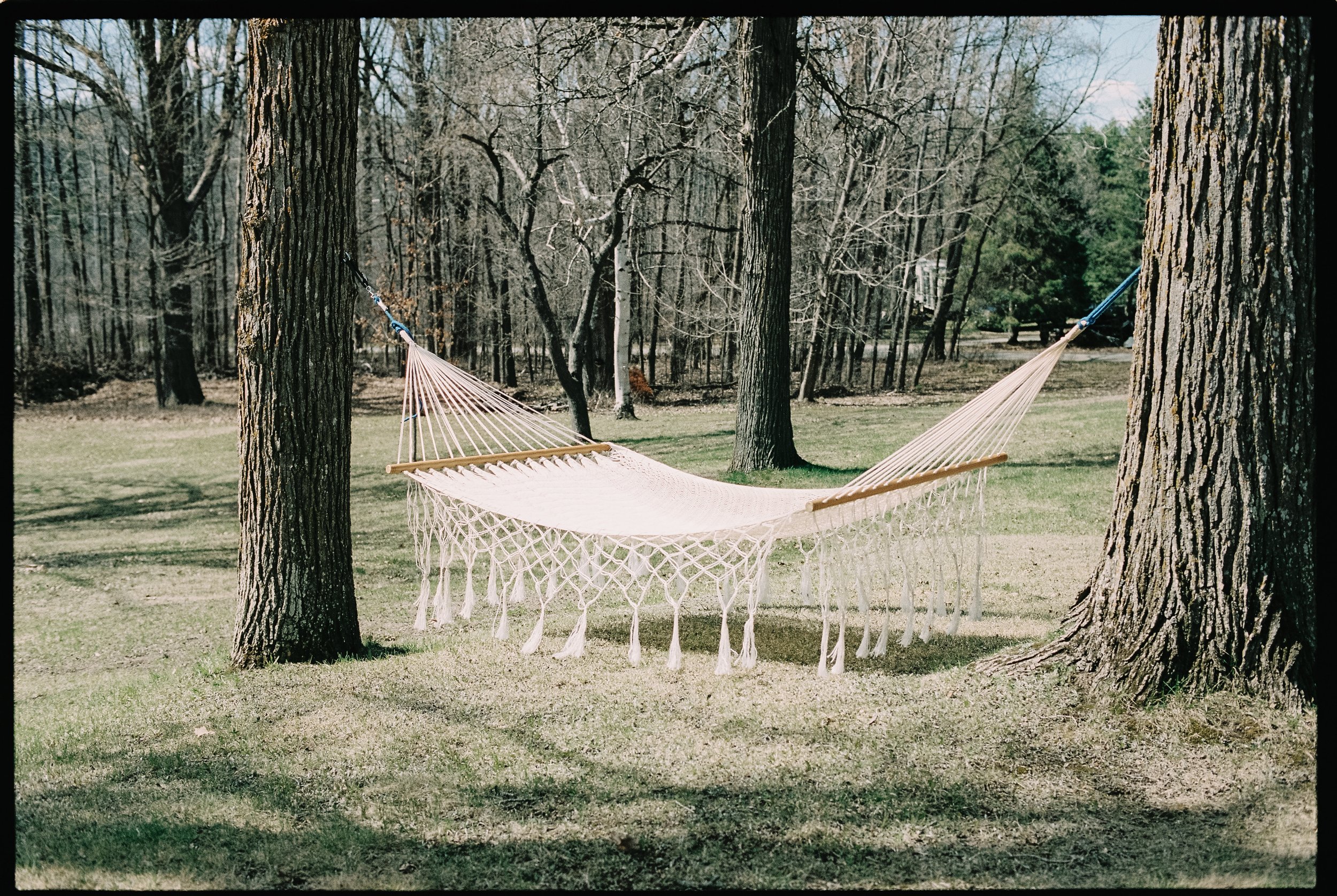 Captured by Virginia Luella