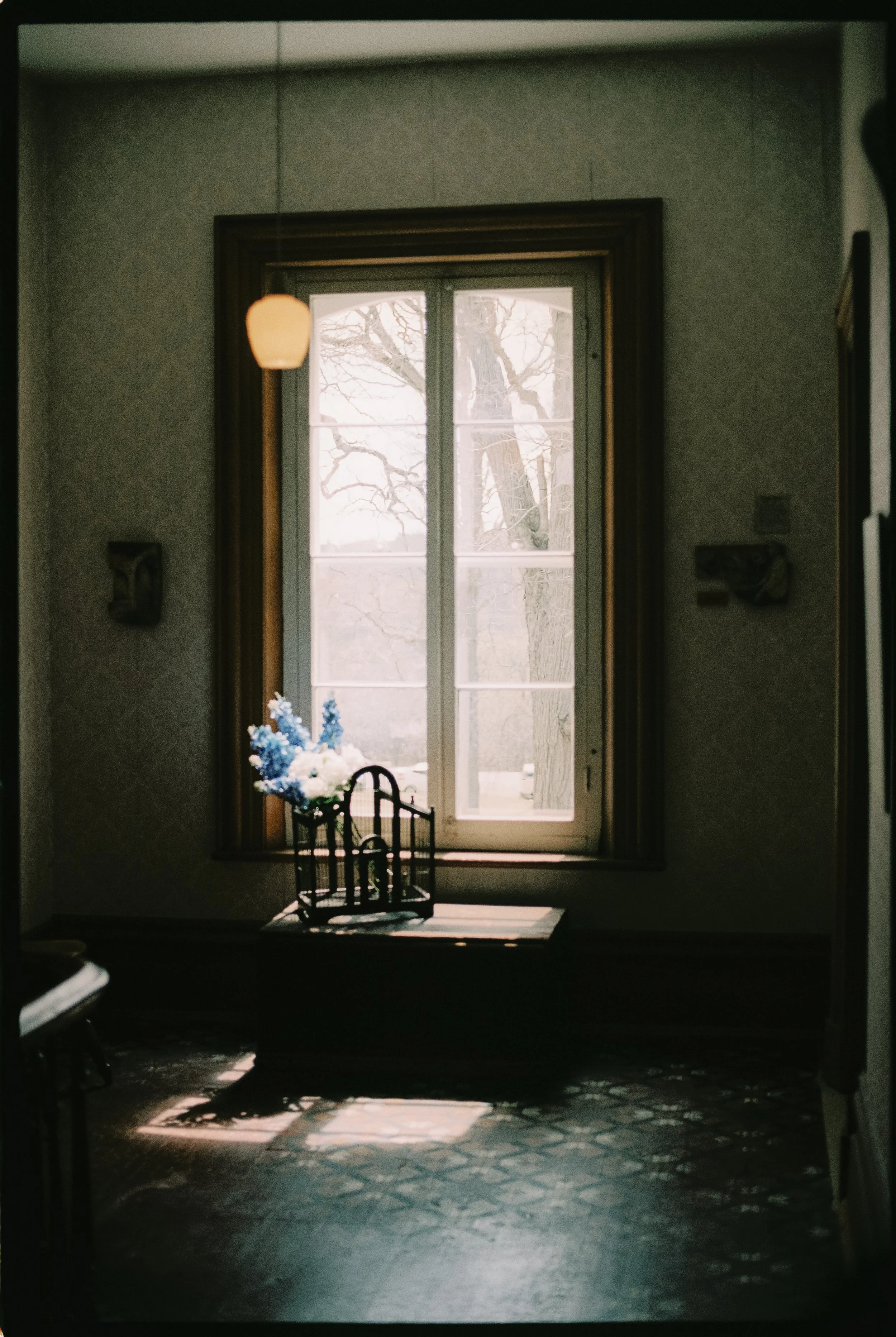 Captured by Virginia Luella