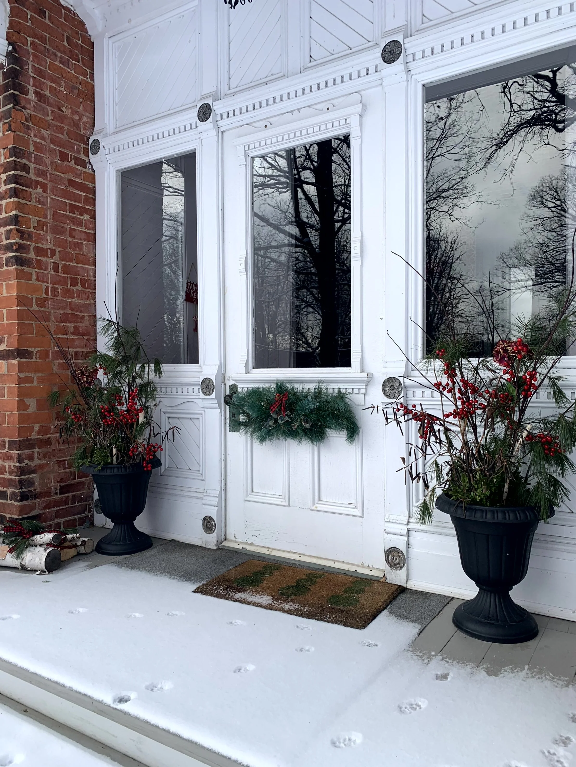 IMG_3373.jpg