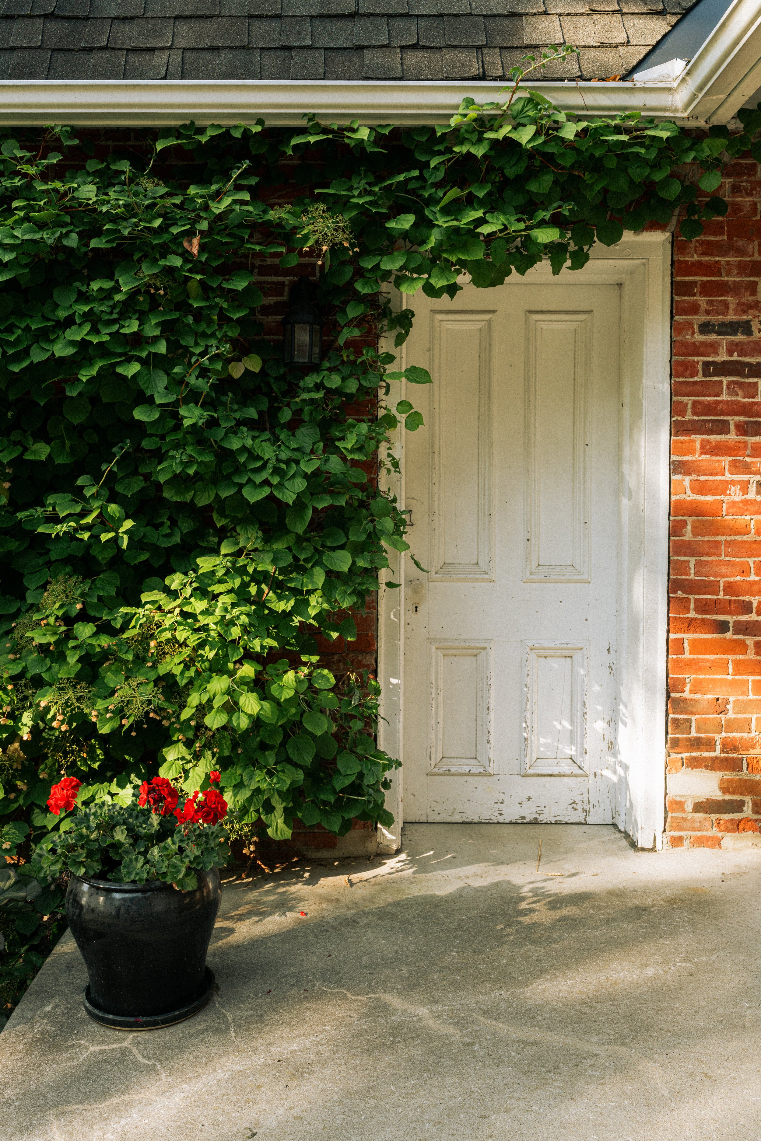 Carswell House-3.jpg